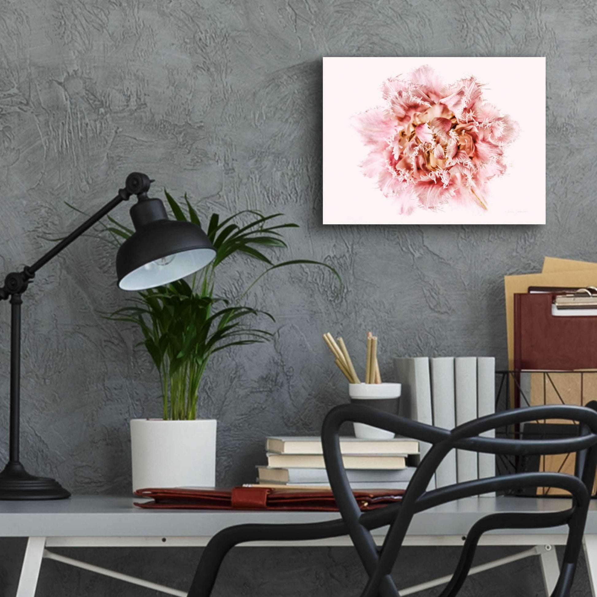 Epic Art 'Pink Fringed Tulip' by Elise Catterall, Acrylic Glass Wall Art,16x12