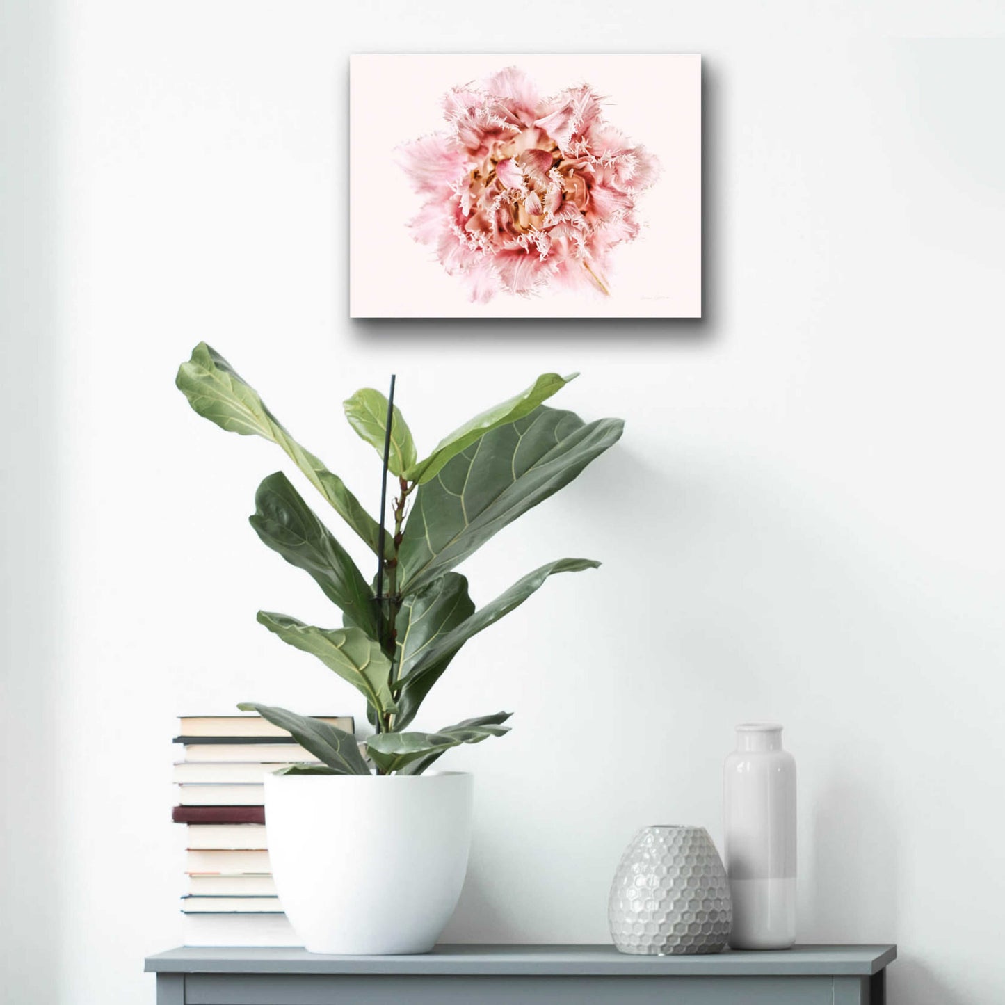 Epic Art 'Pink Fringed Tulip' by Elise Catterall, Acrylic Glass Wall Art,16x12