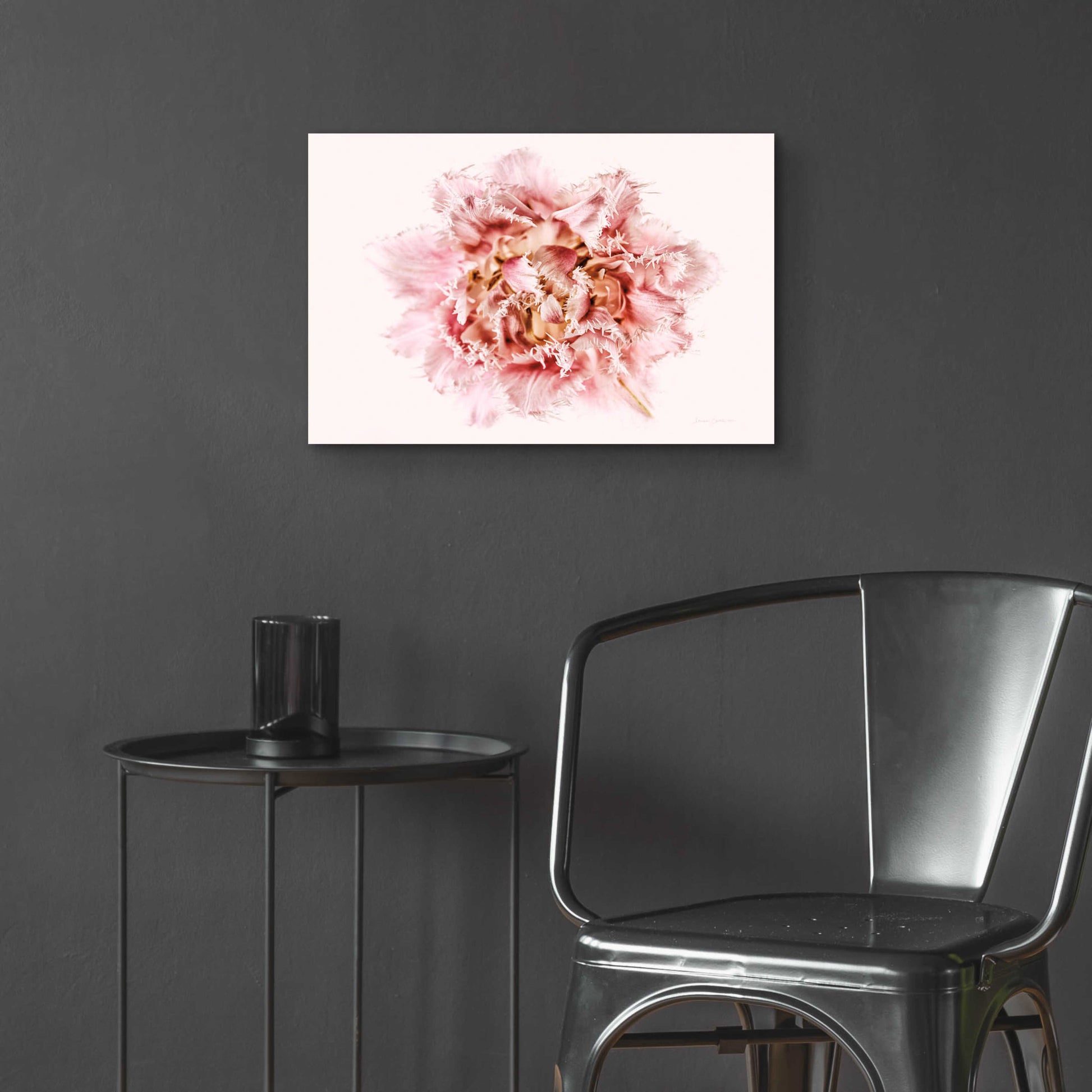 Epic Art 'Pink Fringed Tulip' by Elise Catterall, Acrylic Glass Wall Art,24x16