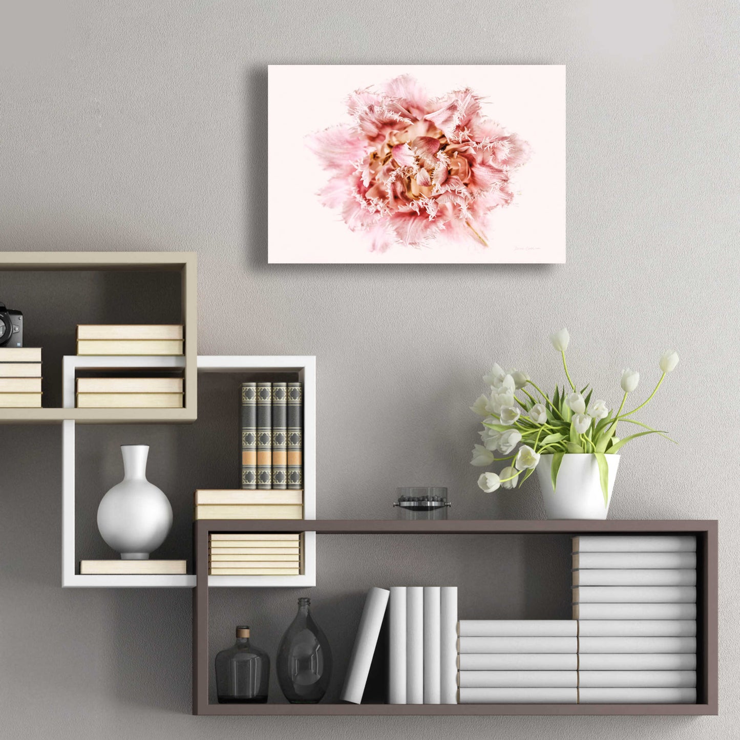 Epic Art 'Pink Fringed Tulip' by Elise Catterall, Acrylic Glass Wall Art,24x16