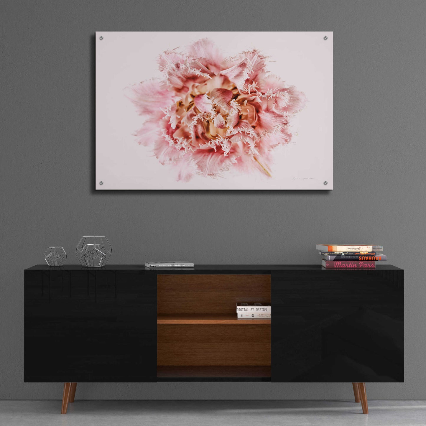 Epic Art 'Pink Fringed Tulip' by Elise Catterall, Acrylic Glass Wall Art,36x24