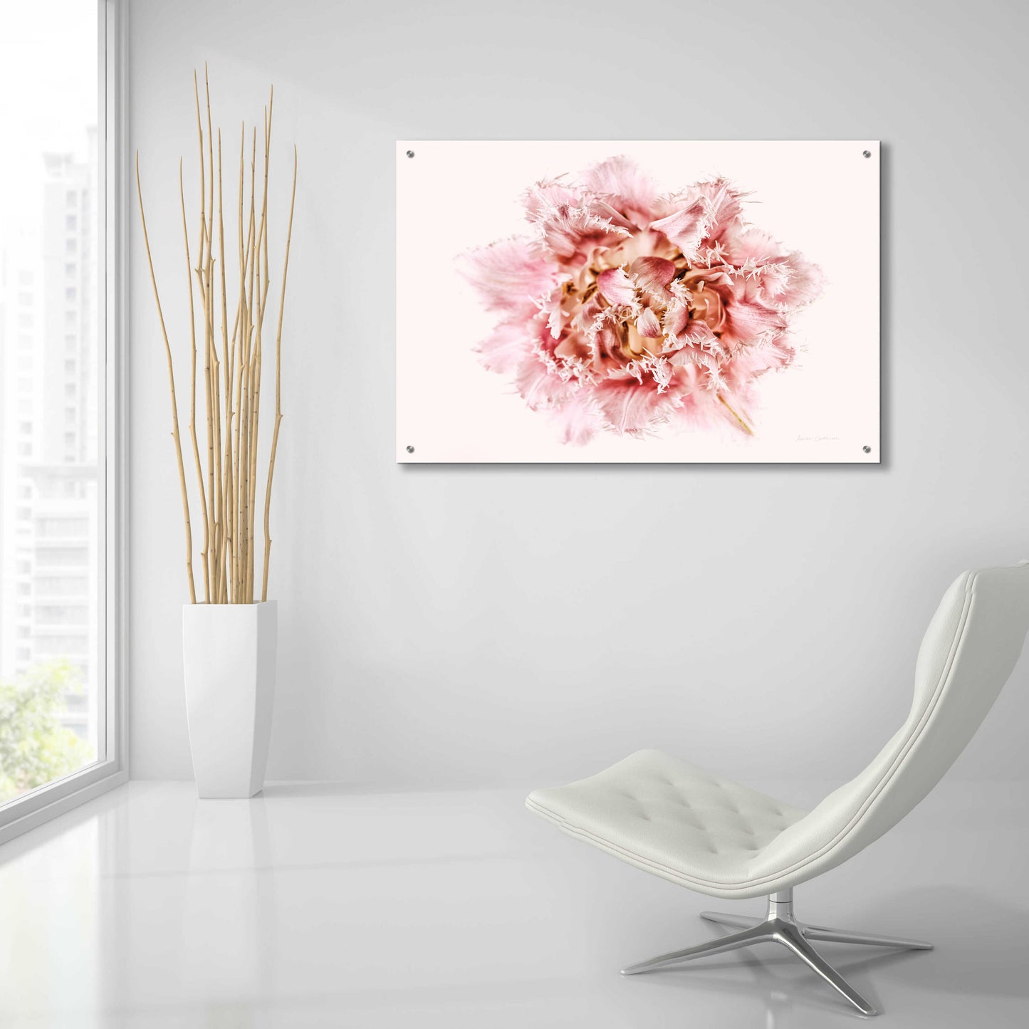 Epic Art 'Pink Fringed Tulip' by Elise Catterall, Acrylic Glass Wall Art,36x24