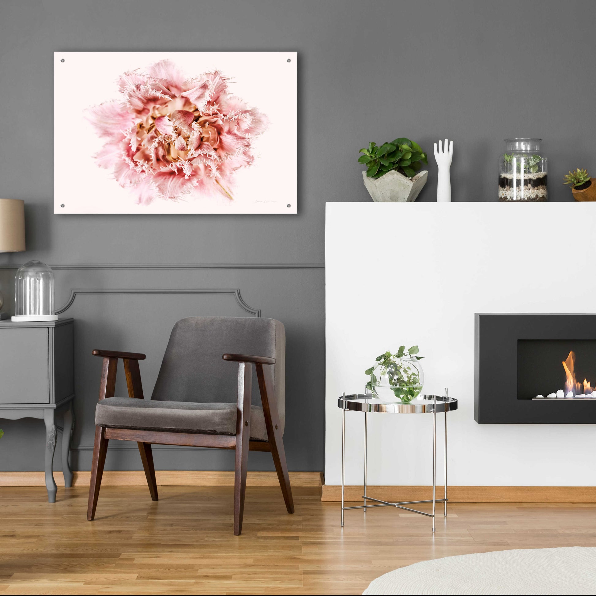 Epic Art 'Pink Fringed Tulip' by Elise Catterall, Acrylic Glass Wall Art,36x24