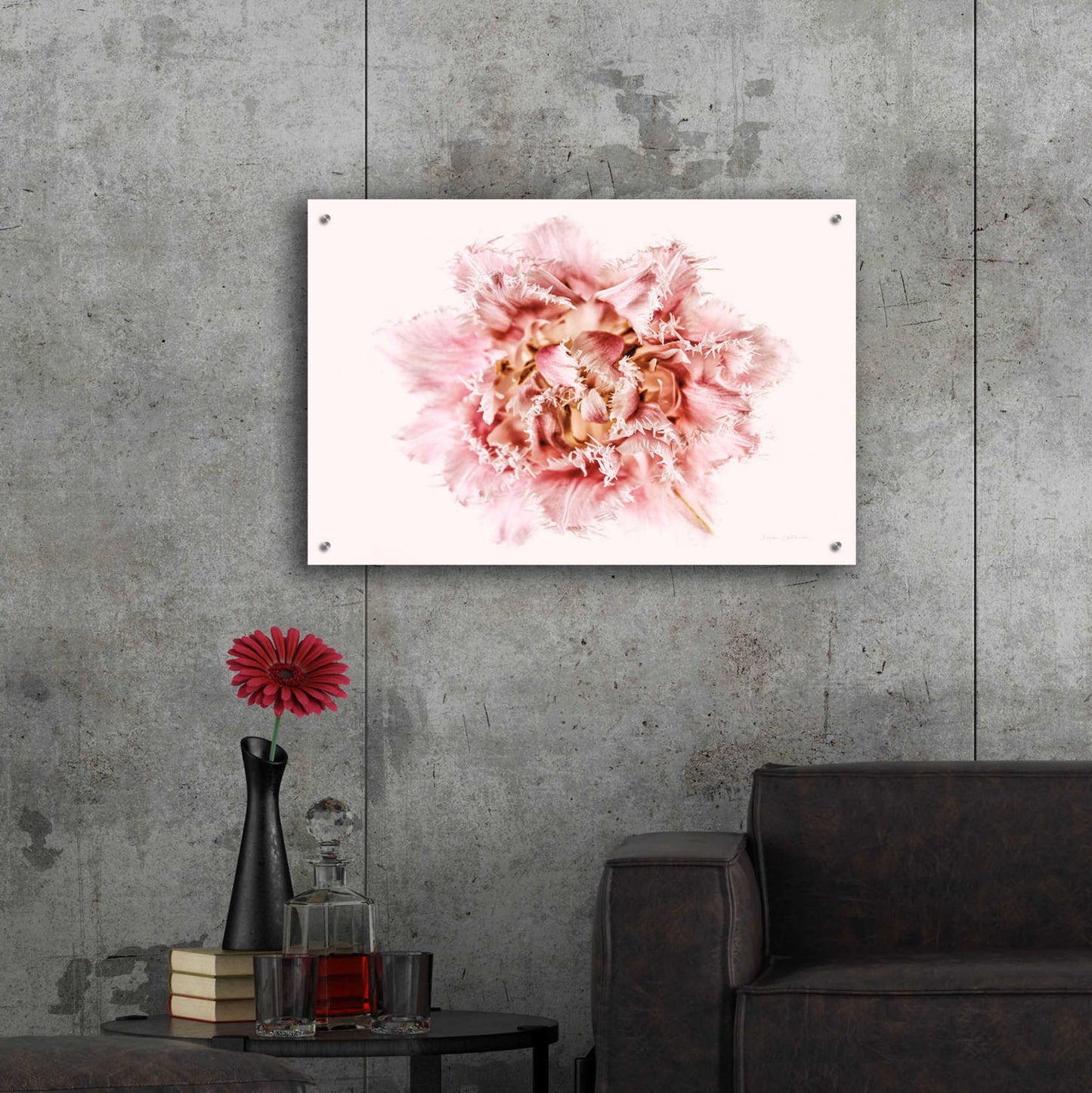 Epic Art 'Pink Fringed Tulip' by Elise Catterall, Acrylic Glass Wall Art,36x24