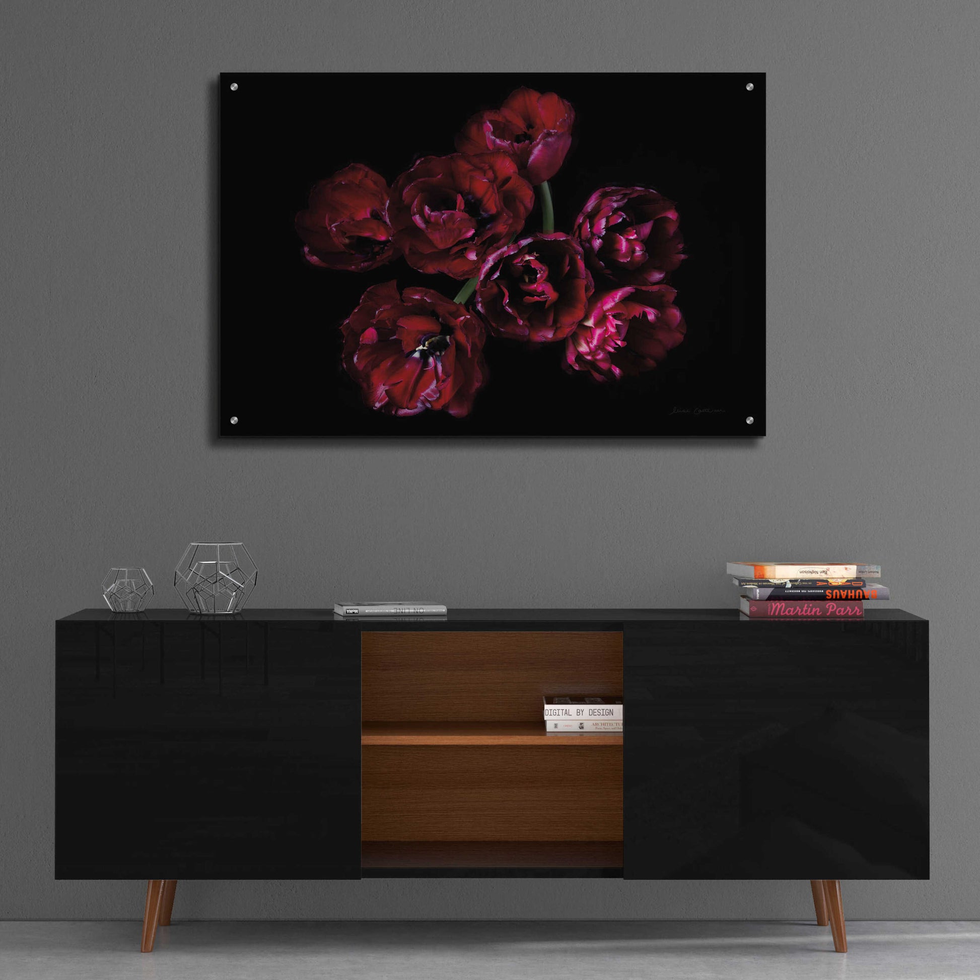 Epic Art 'Red Double Tulips' by Elise Catterall, Acrylic Glass Wall Art,36x24