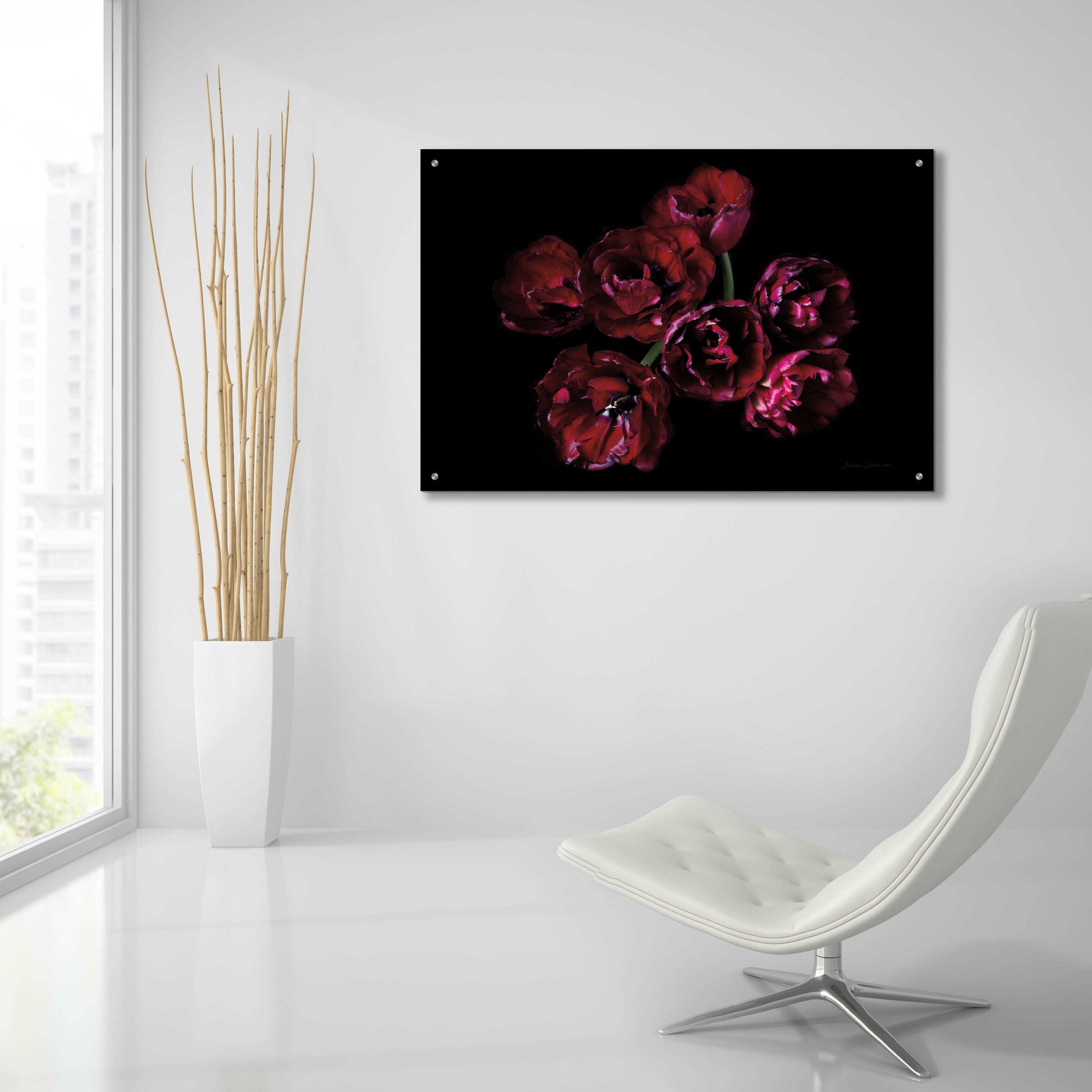 Epic Art 'Red Double Tulips' by Elise Catterall, Acrylic Glass Wall Art,36x24