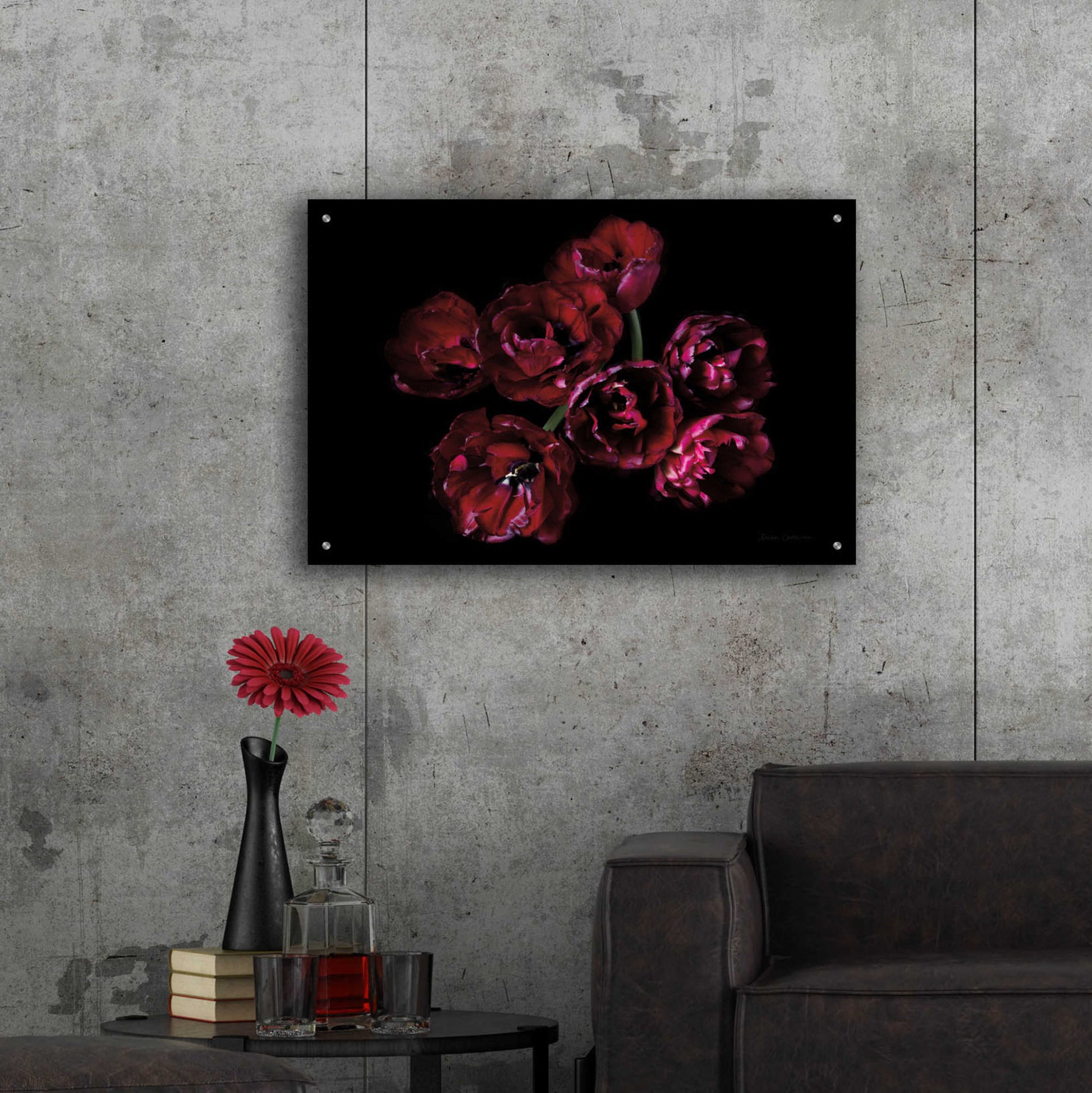 Epic Art 'Red Double Tulips' by Elise Catterall, Acrylic Glass Wall Art,36x24