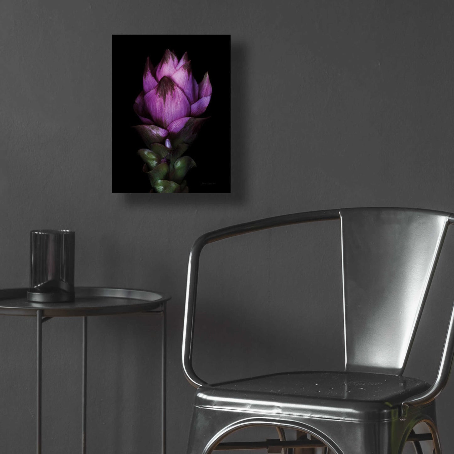 Epic Art 'Siam Tulip' by Elise Catterall, Acrylic Glass Wall Art,12x16