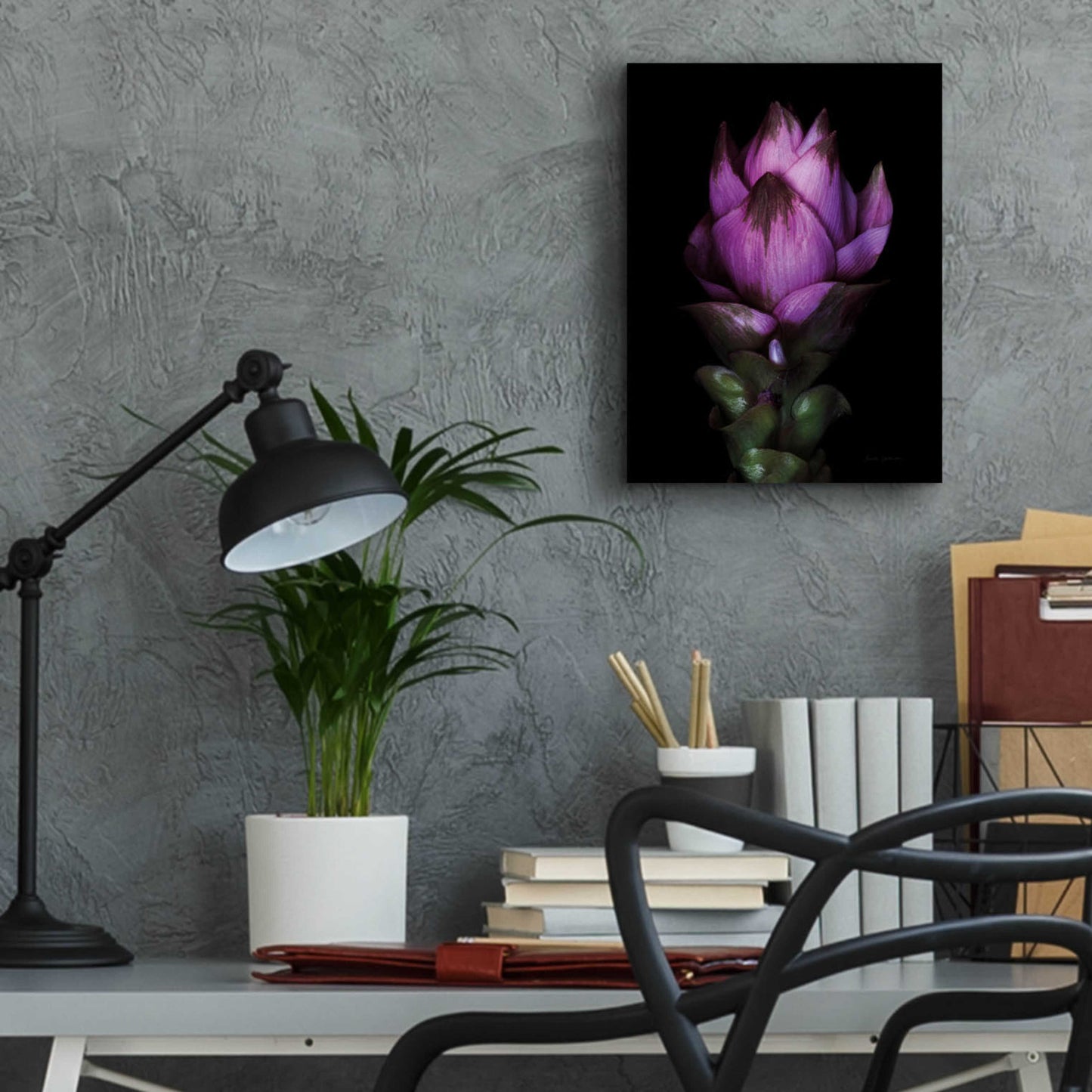 Epic Art 'Siam Tulip' by Elise Catterall, Acrylic Glass Wall Art,12x16