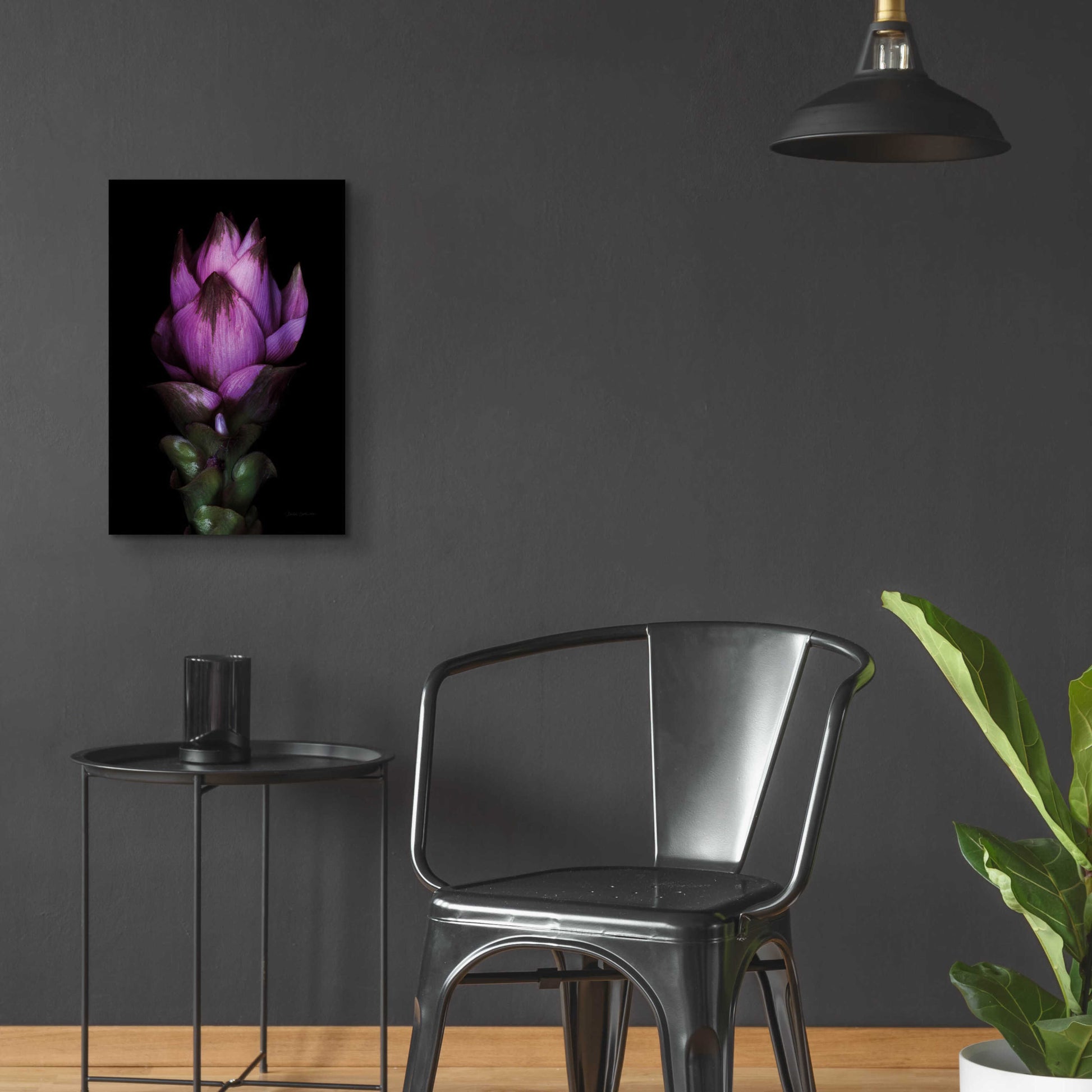 Epic Art 'Siam Tulip' by Elise Catterall, Acrylic Glass Wall Art,16x24