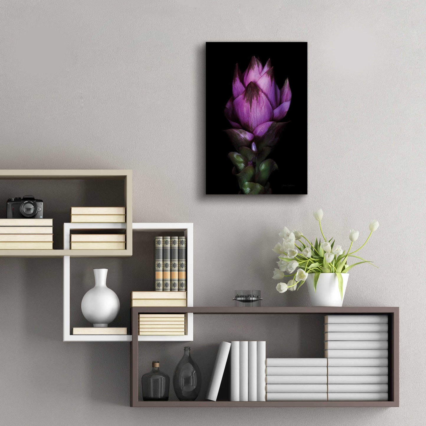 Epic Art 'Siam Tulip' by Elise Catterall, Acrylic Glass Wall Art,16x24