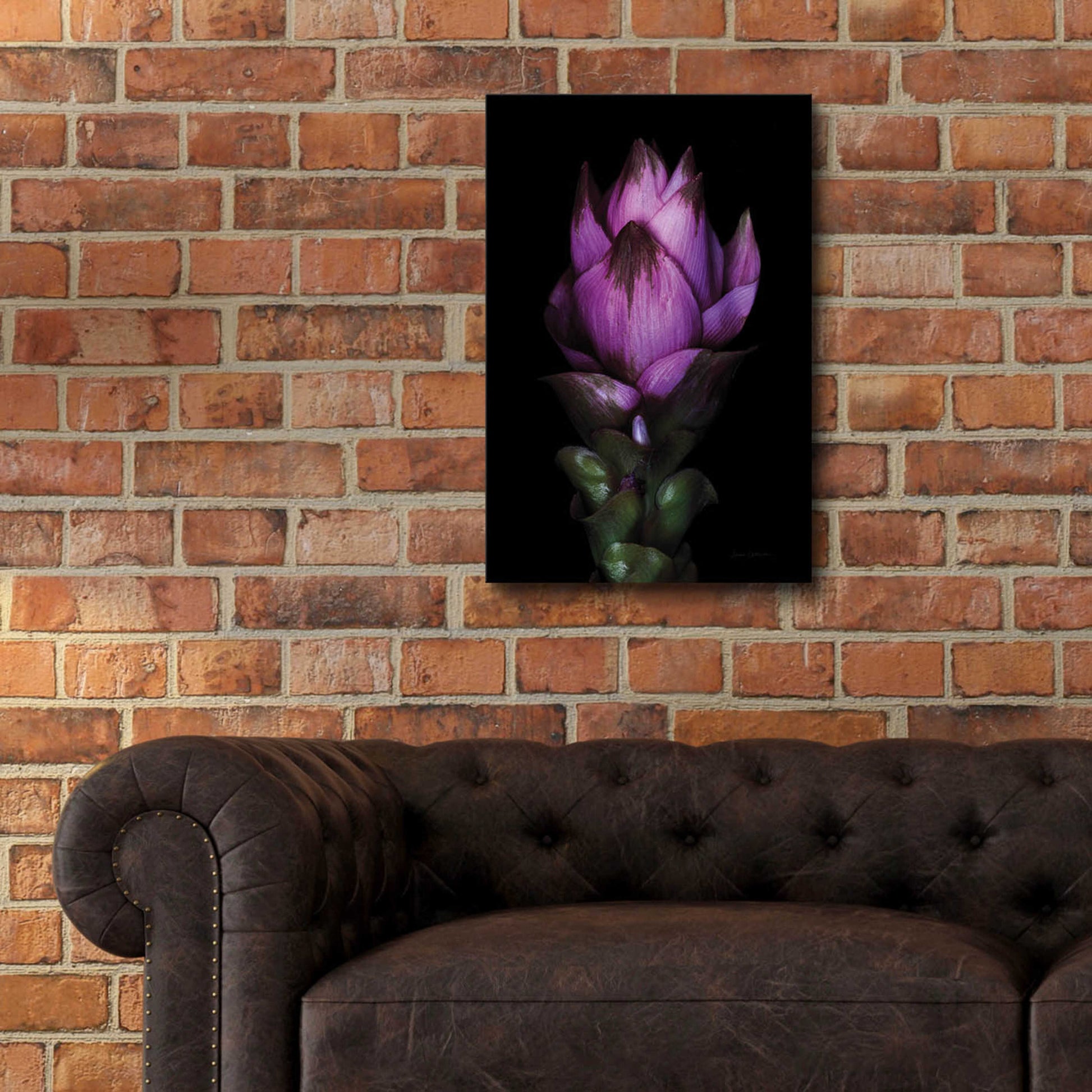 Epic Art 'Siam Tulip' by Elise Catterall, Acrylic Glass Wall Art,16x24