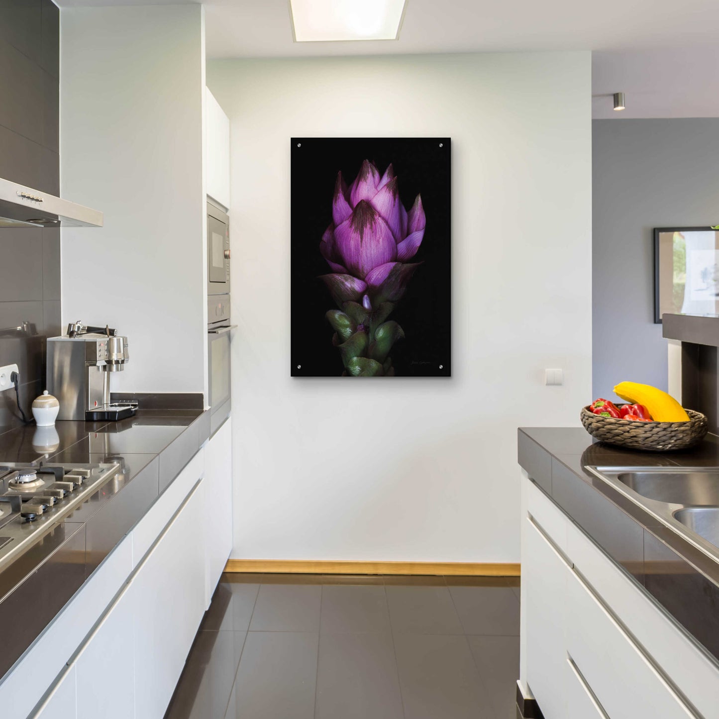 Epic Art 'Siam Tulip' by Elise Catterall, Acrylic Glass Wall Art,24x36