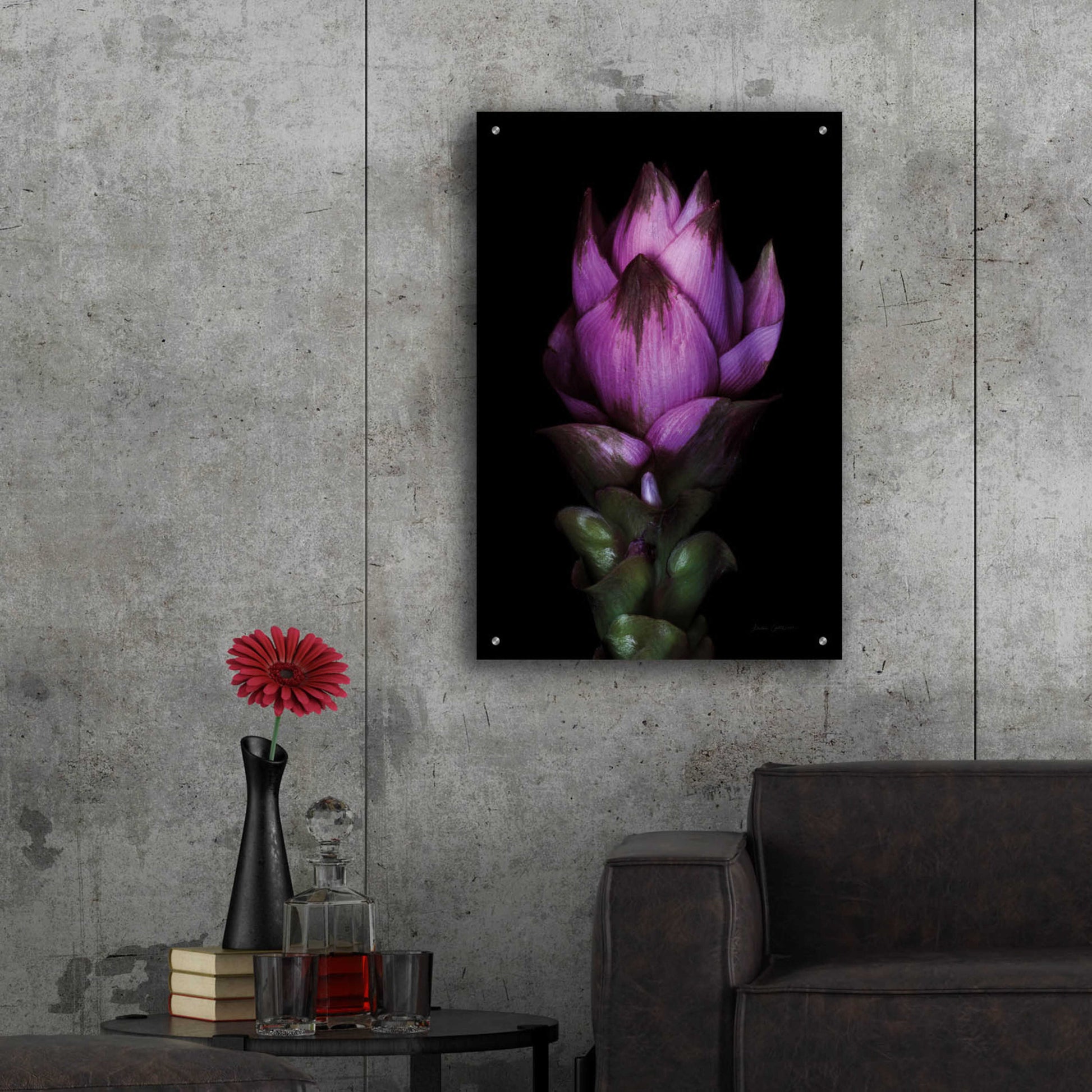 Epic Art 'Siam Tulip' by Elise Catterall, Acrylic Glass Wall Art,24x36