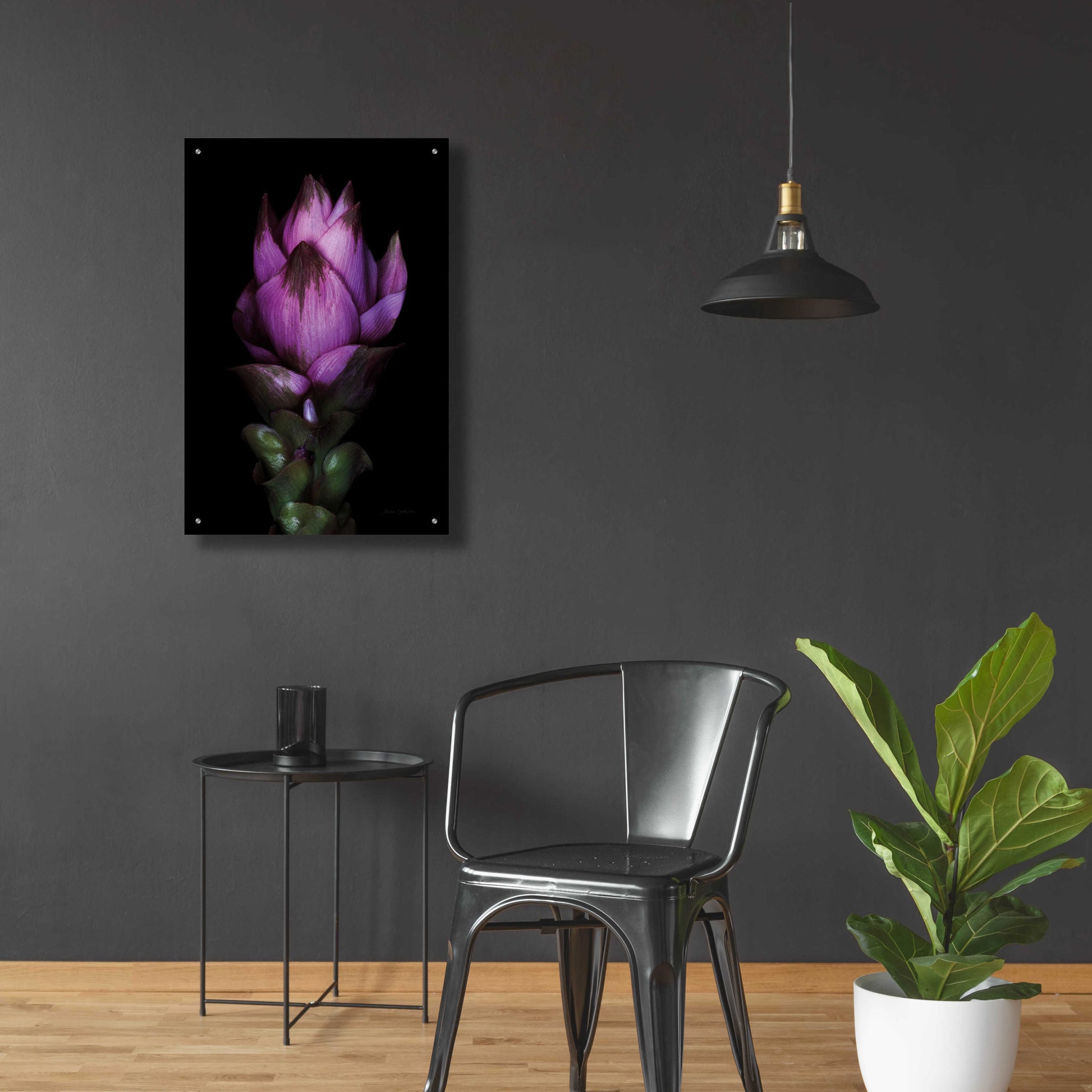 Epic Art 'Siam Tulip' by Elise Catterall, Acrylic Glass Wall Art,24x36