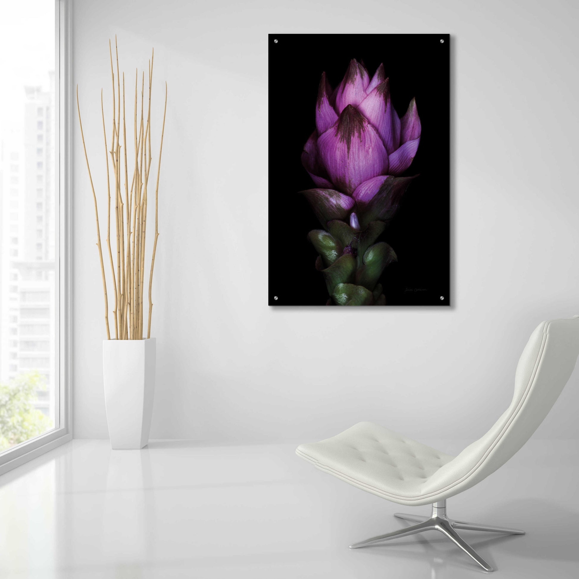 Epic Art 'Siam Tulip' by Elise Catterall, Acrylic Glass Wall Art,24x36