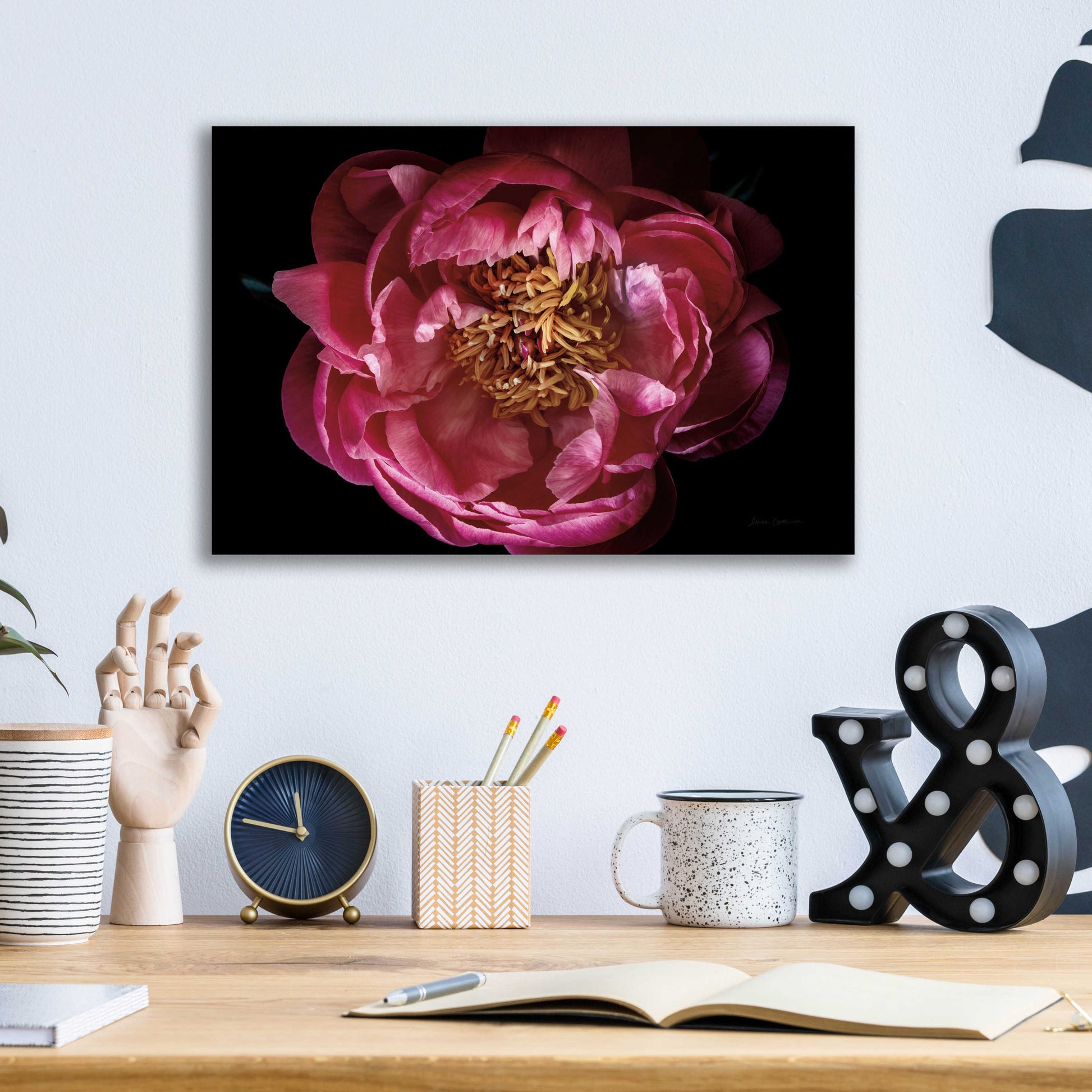 Epic Art 'Coral Peony' by Elise Catterall, Acrylic Glass Wall Art,16x12