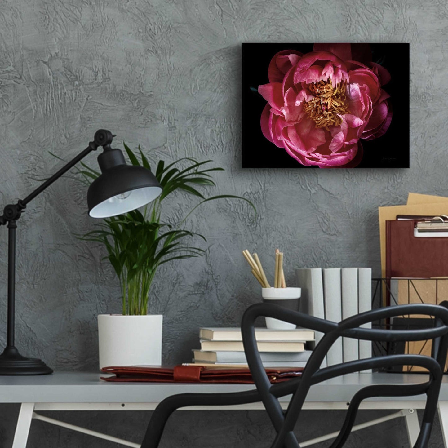 Epic Art 'Coral Peony' by Elise Catterall, Acrylic Glass Wall Art,16x12