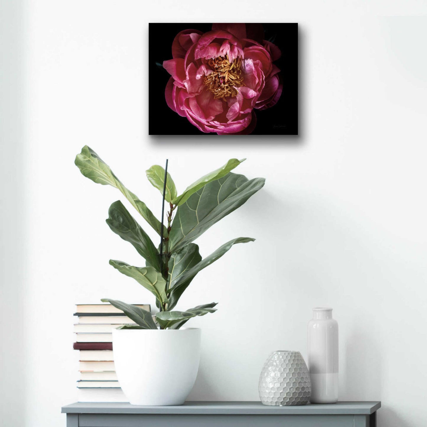 Epic Art 'Coral Peony' by Elise Catterall, Acrylic Glass Wall Art,16x12