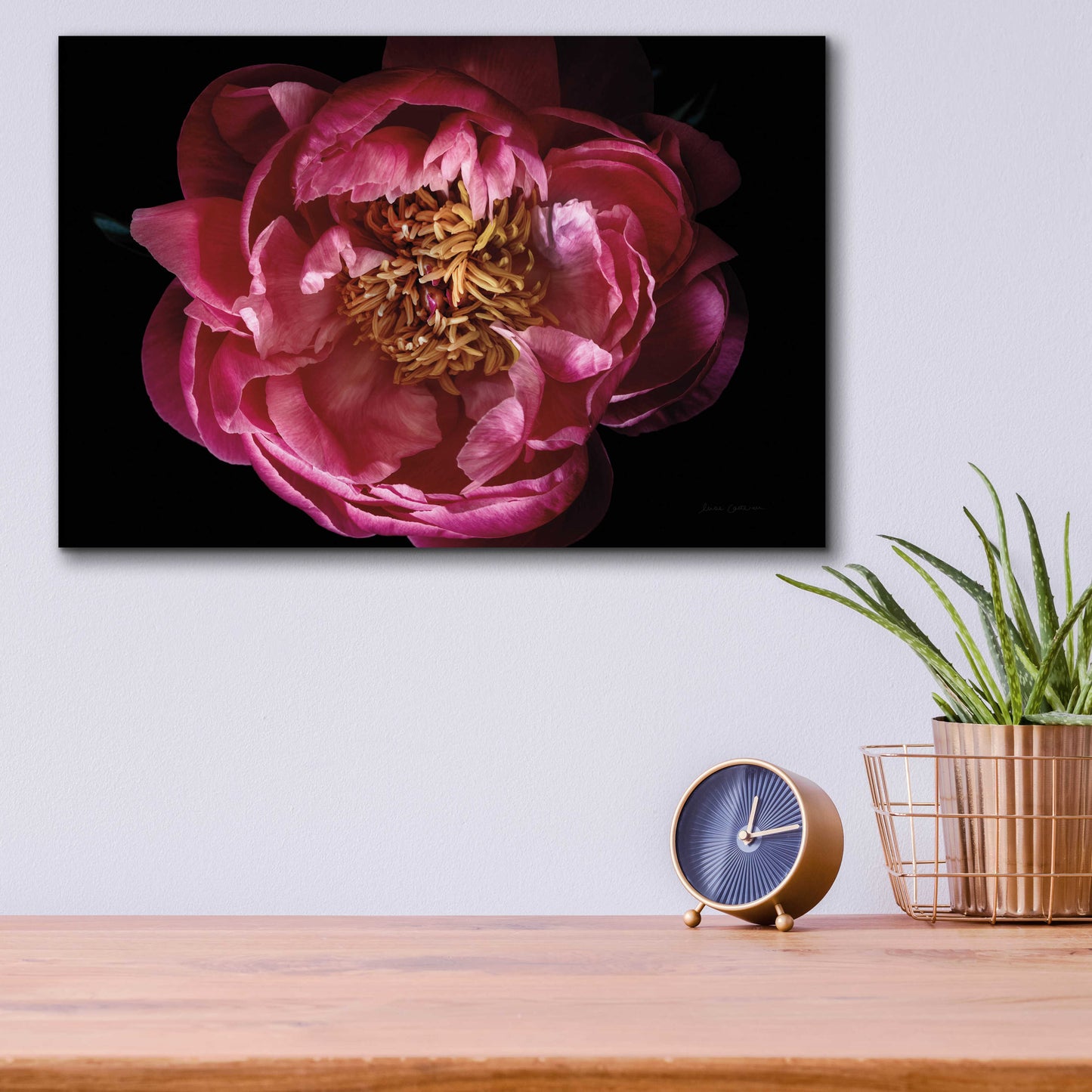 Epic Art 'Coral Peony' by Elise Catterall, Acrylic Glass Wall Art,16x12