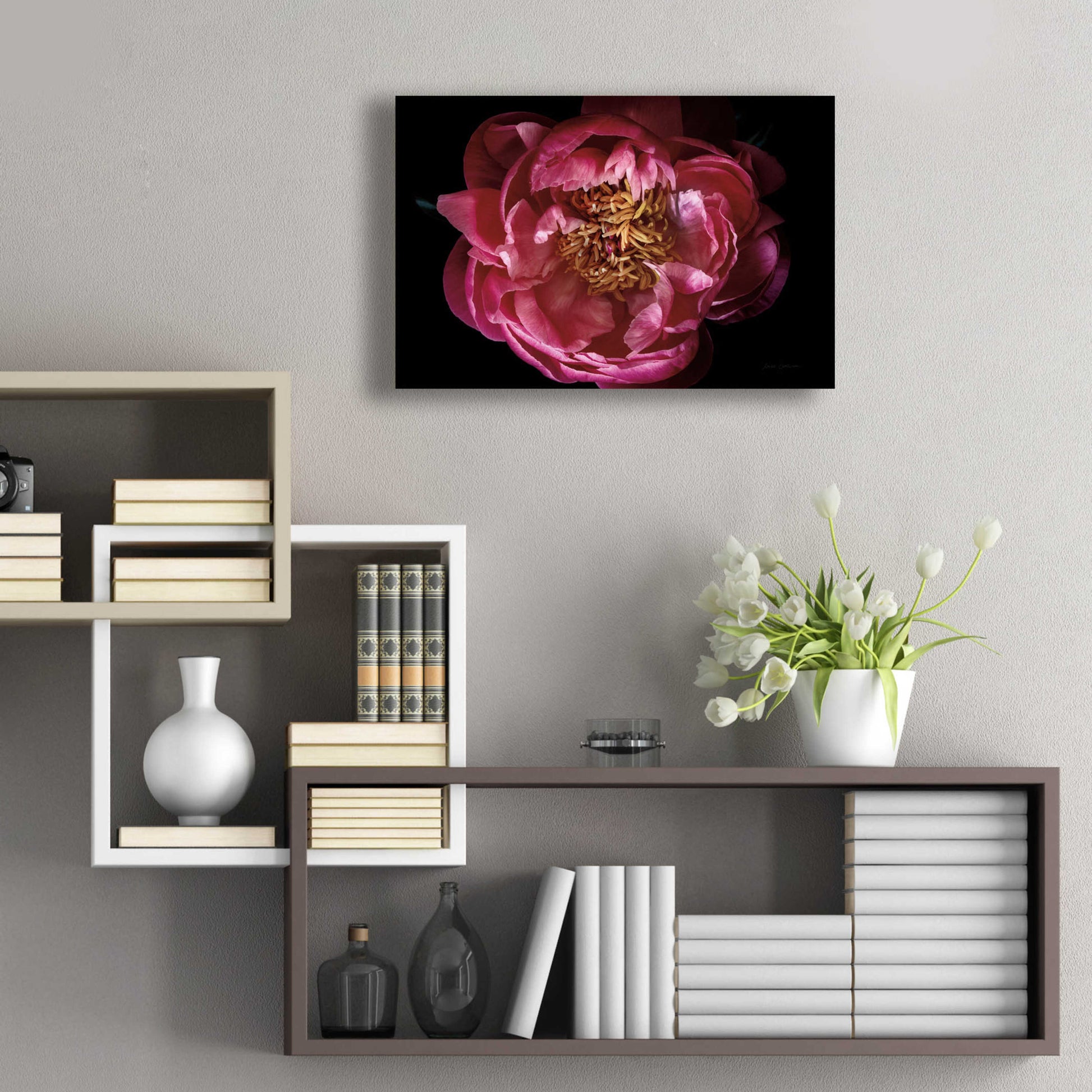 Epic Art 'Coral Peony' by Elise Catterall, Acrylic Glass Wall Art,24x16