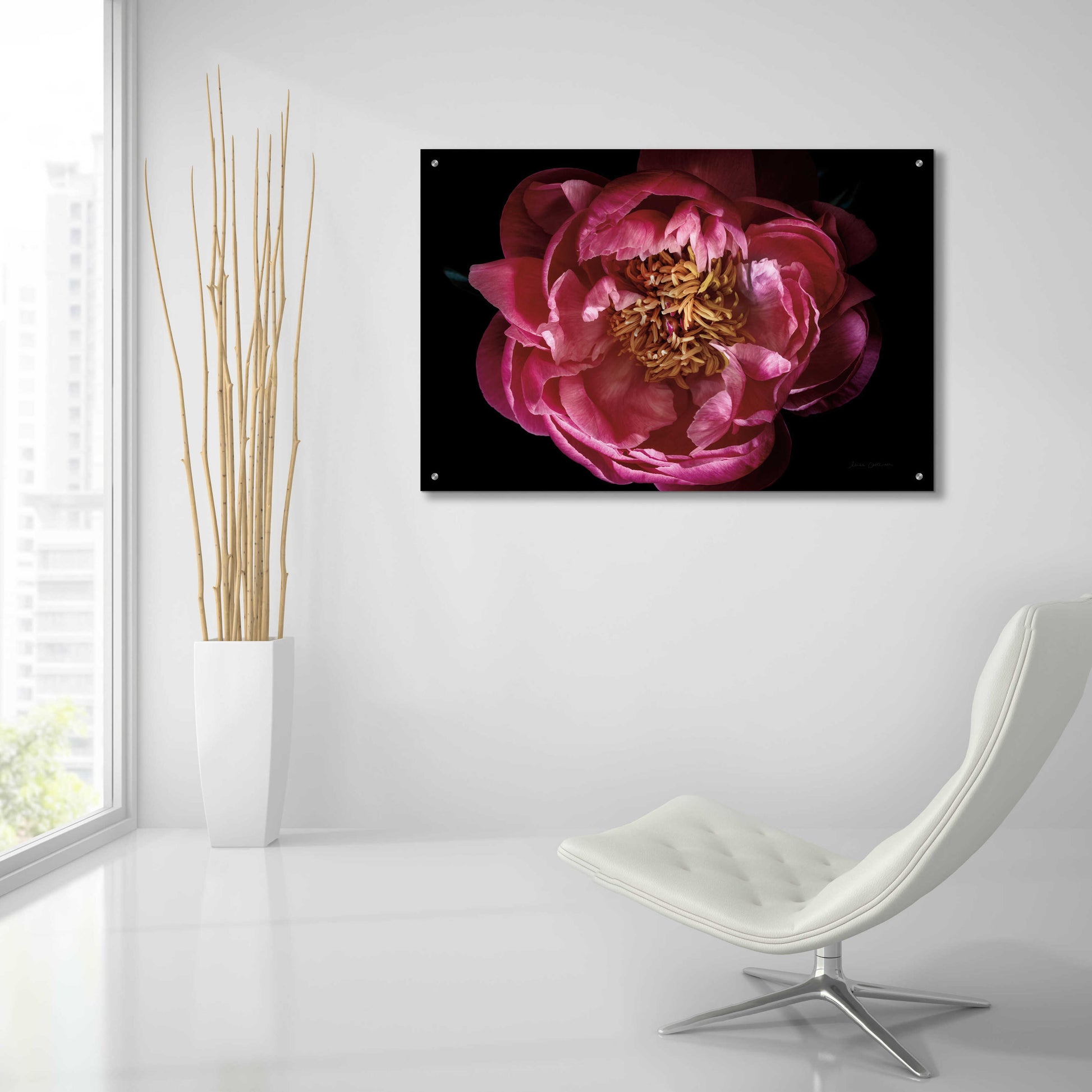 Epic Art 'Coral Peony' by Elise Catterall, Acrylic Glass Wall Art,36x24