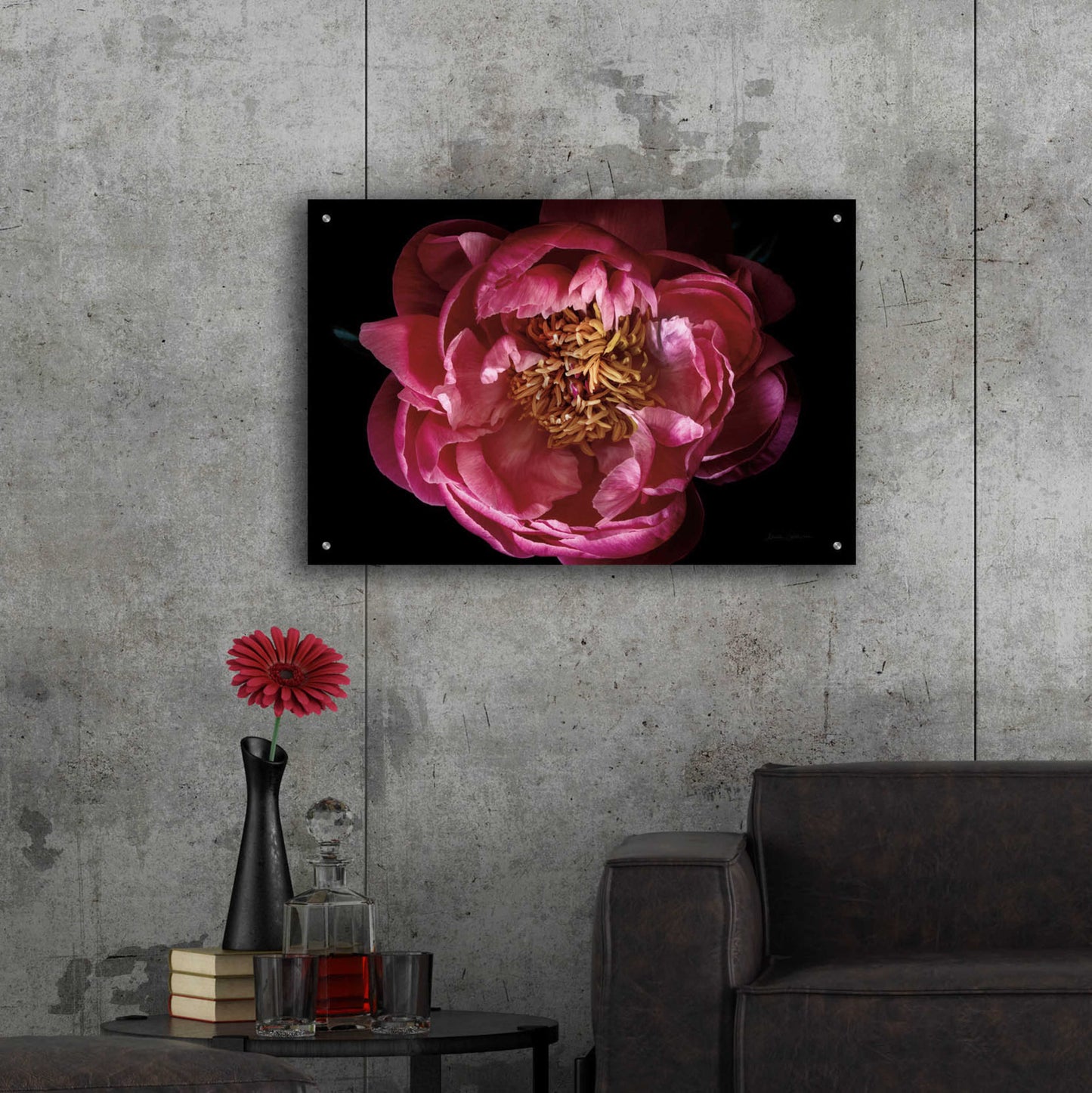 Epic Art 'Coral Peony' by Elise Catterall, Acrylic Glass Wall Art,36x24