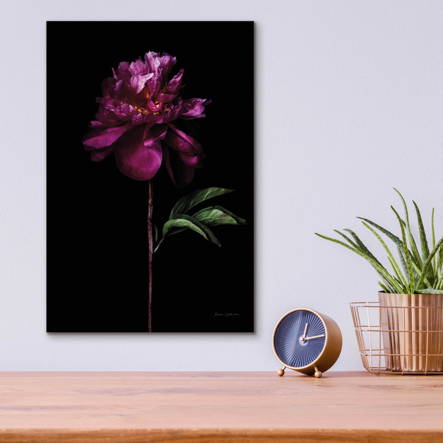 Epic Art 'Peony Portrait' by Elise Catterall, Acrylic Glass Wall Art,12x16