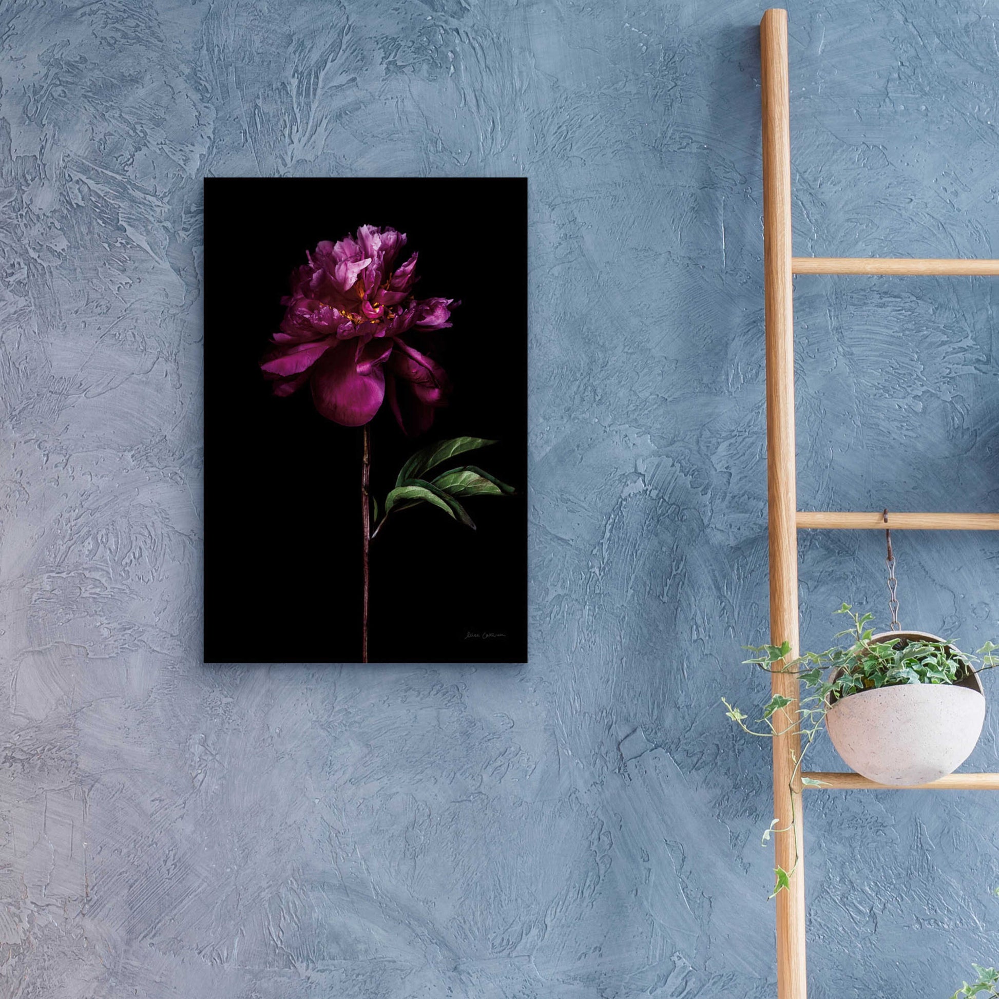 Epic Art 'Peony Portrait' by Elise Catterall, Acrylic Glass Wall Art,16x24