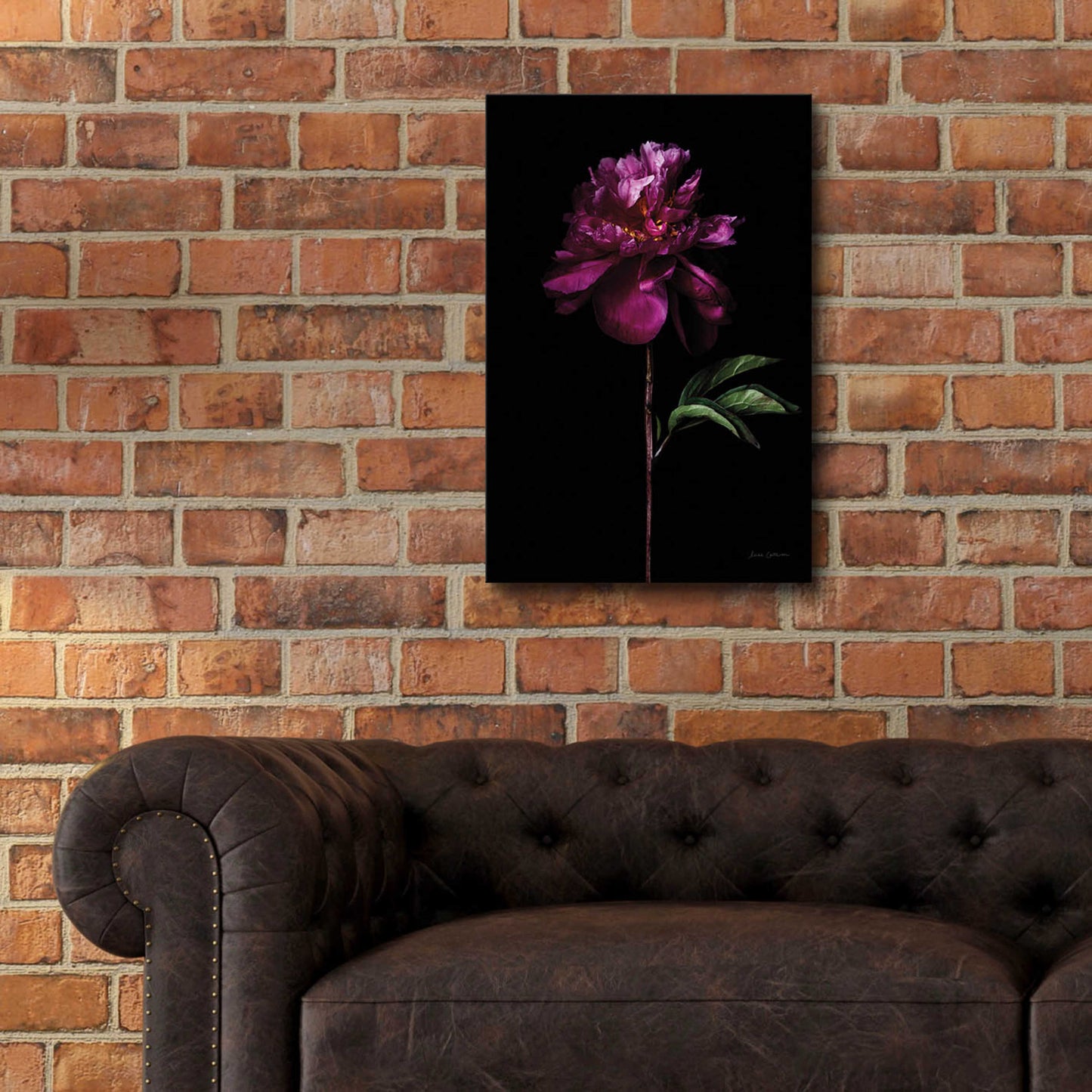 Epic Art 'Peony Portrait' by Elise Catterall, Acrylic Glass Wall Art,16x24