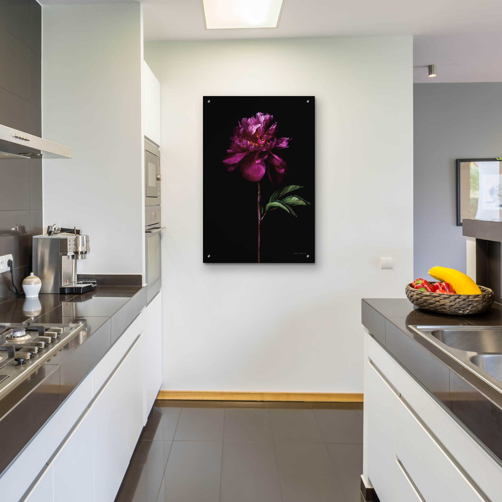 Epic Art 'Peony Portrait' by Elise Catterall, Acrylic Glass Wall Art,24x36