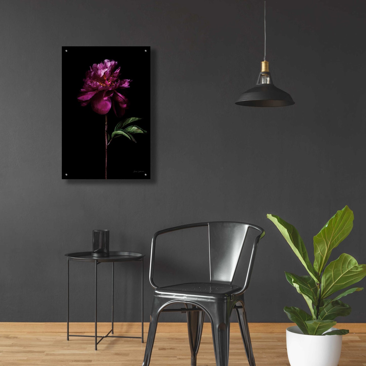 Epic Art 'Peony Portrait' by Elise Catterall, Acrylic Glass Wall Art,24x36