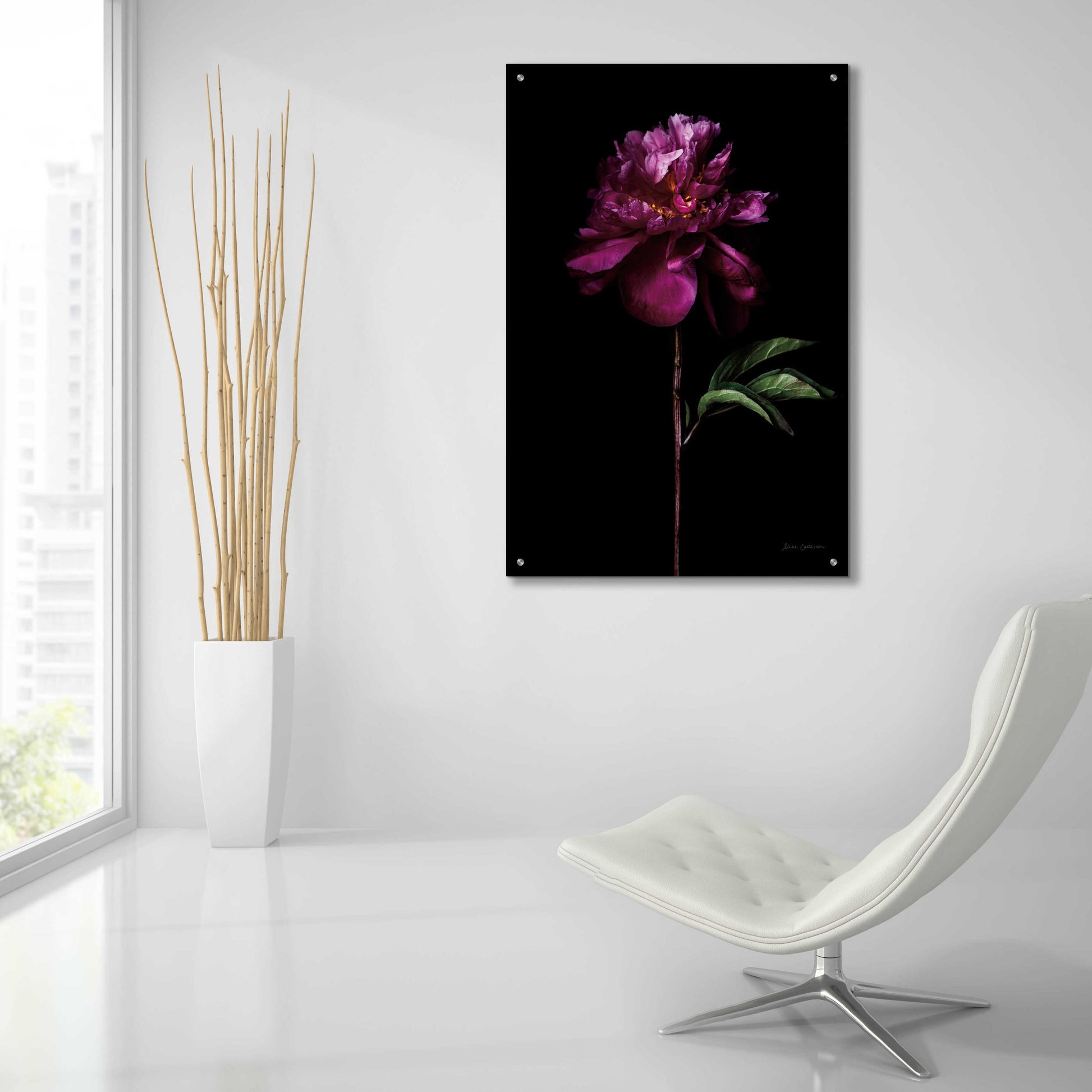 Epic Art 'Peony Portrait' by Elise Catterall, Acrylic Glass Wall Art,24x36