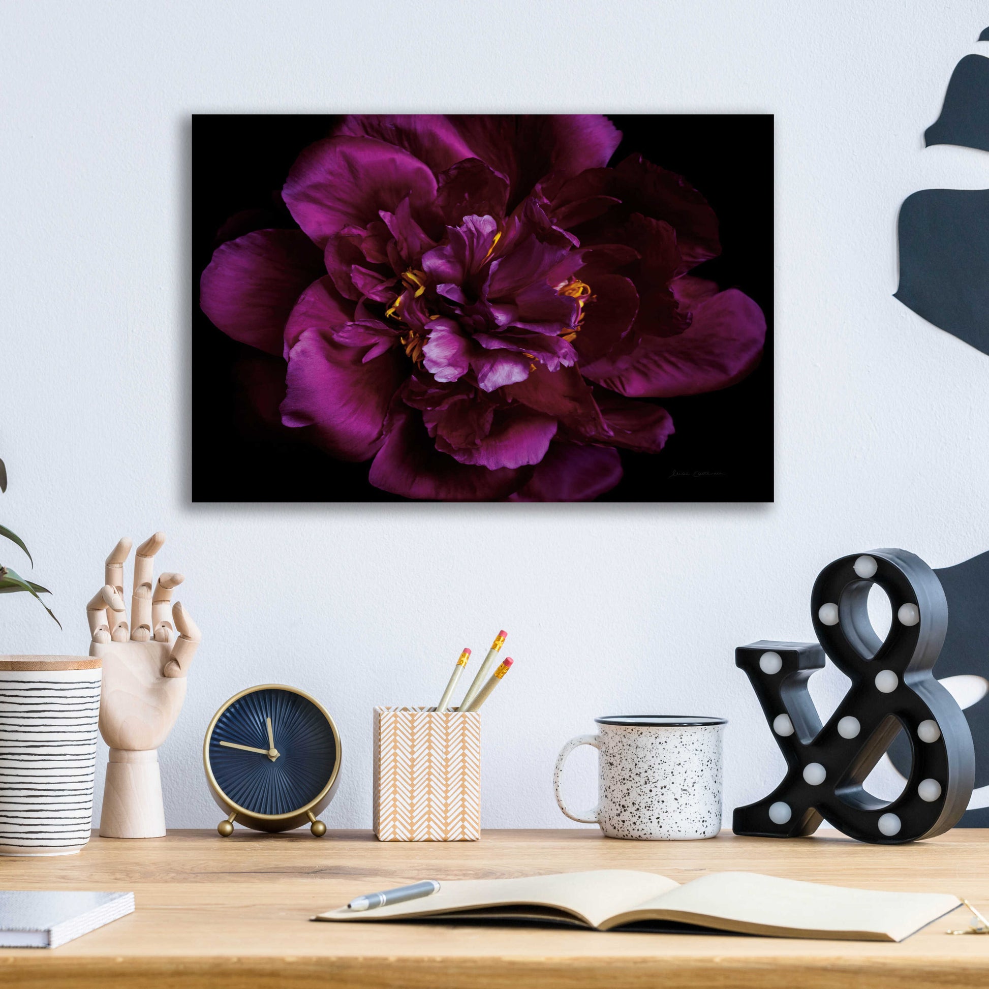 Epic Art 'Vivid Dark Peony' by Elise Catterall, Acrylic Glass Wall Art,16x12