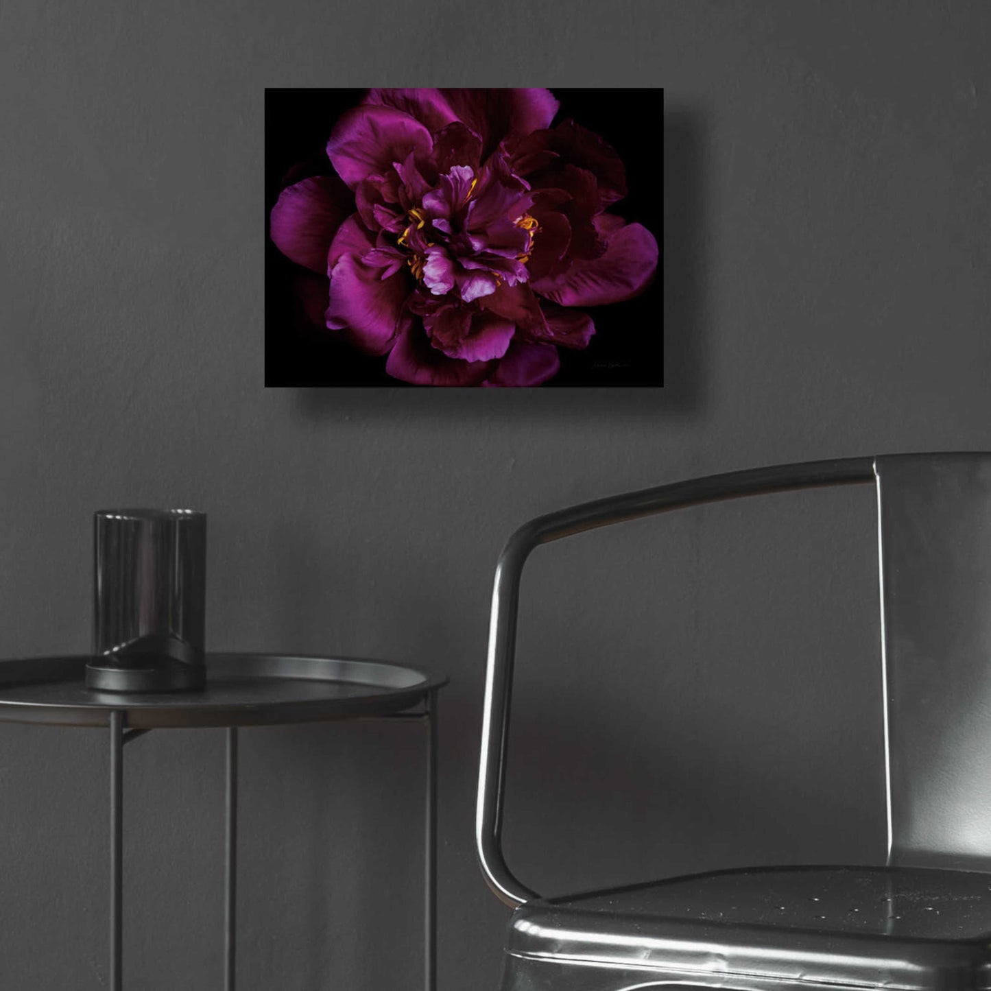 Epic Art 'Vivid Dark Peony' by Elise Catterall, Acrylic Glass Wall Art,16x12