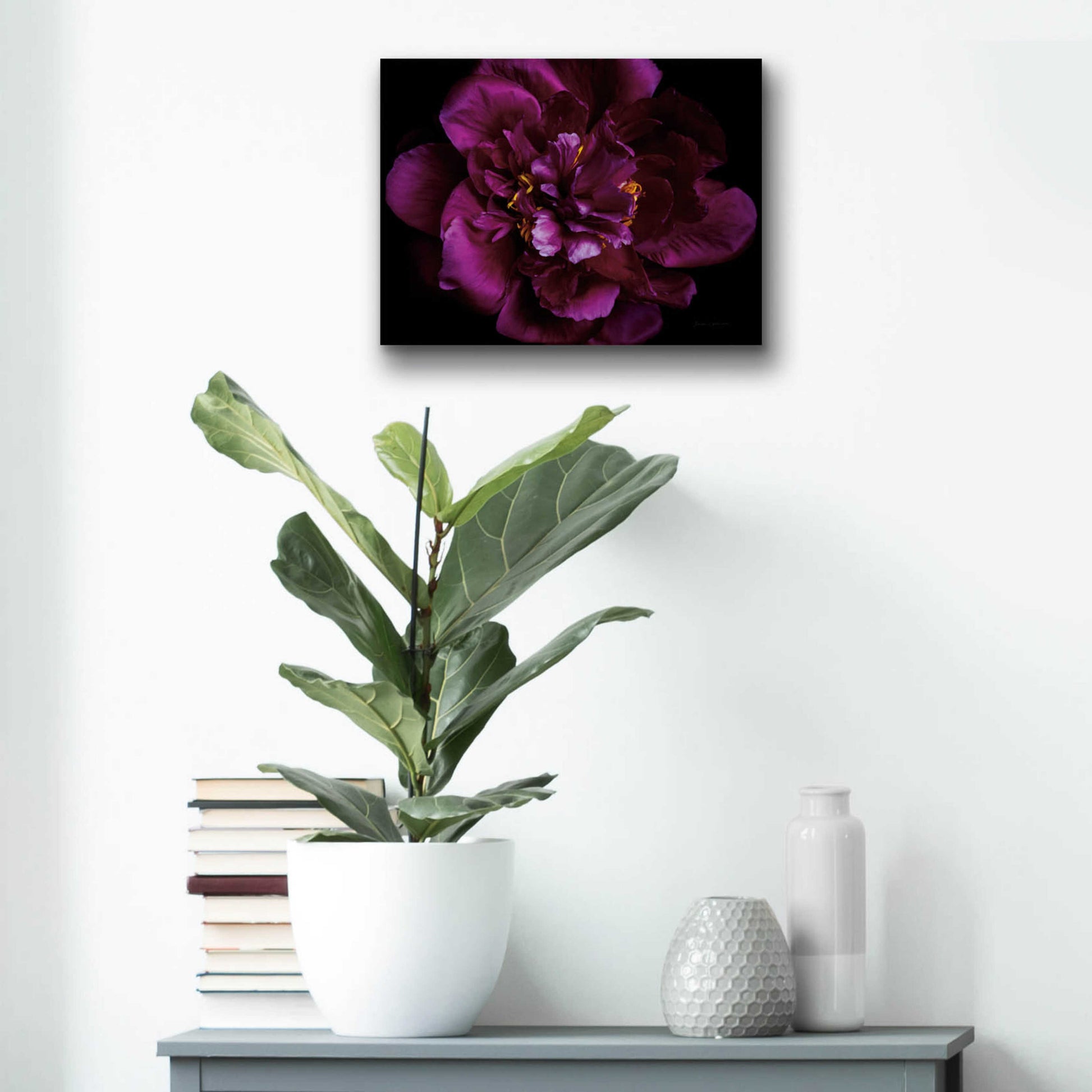 Epic Art 'Vivid Dark Peony' by Elise Catterall, Acrylic Glass Wall Art,16x12