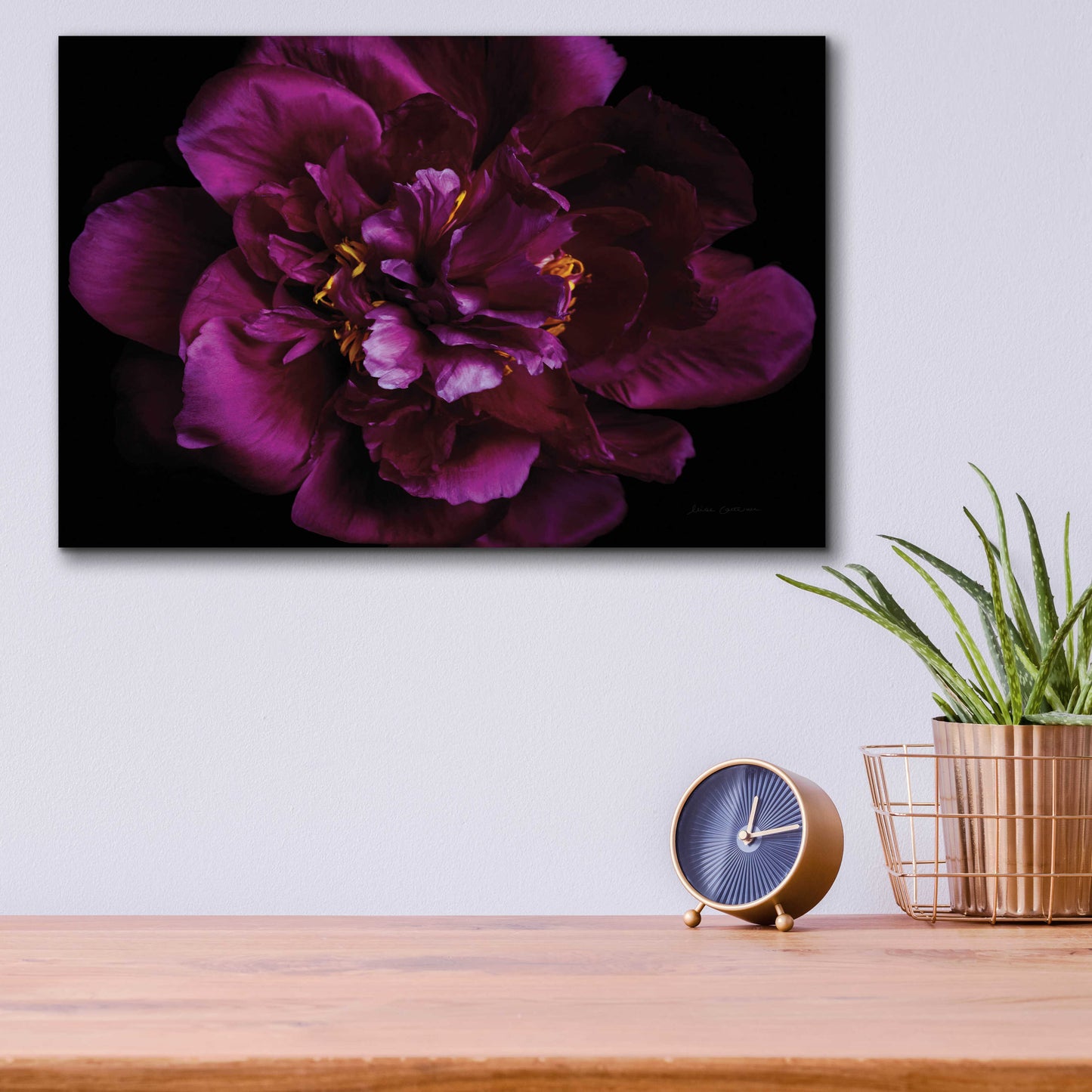 Epic Art 'Vivid Dark Peony' by Elise Catterall, Acrylic Glass Wall Art,16x12