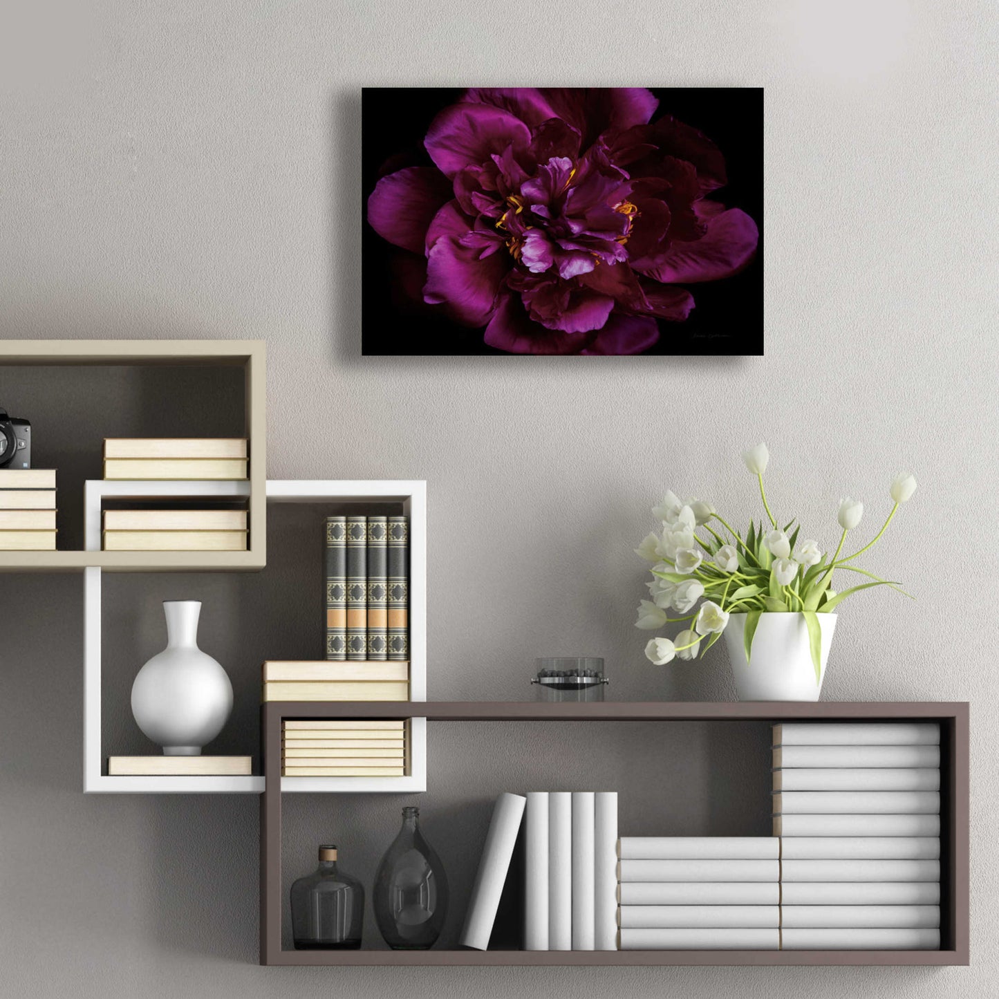 Epic Art 'Vivid Dark Peony' by Elise Catterall, Acrylic Glass Wall Art,24x16