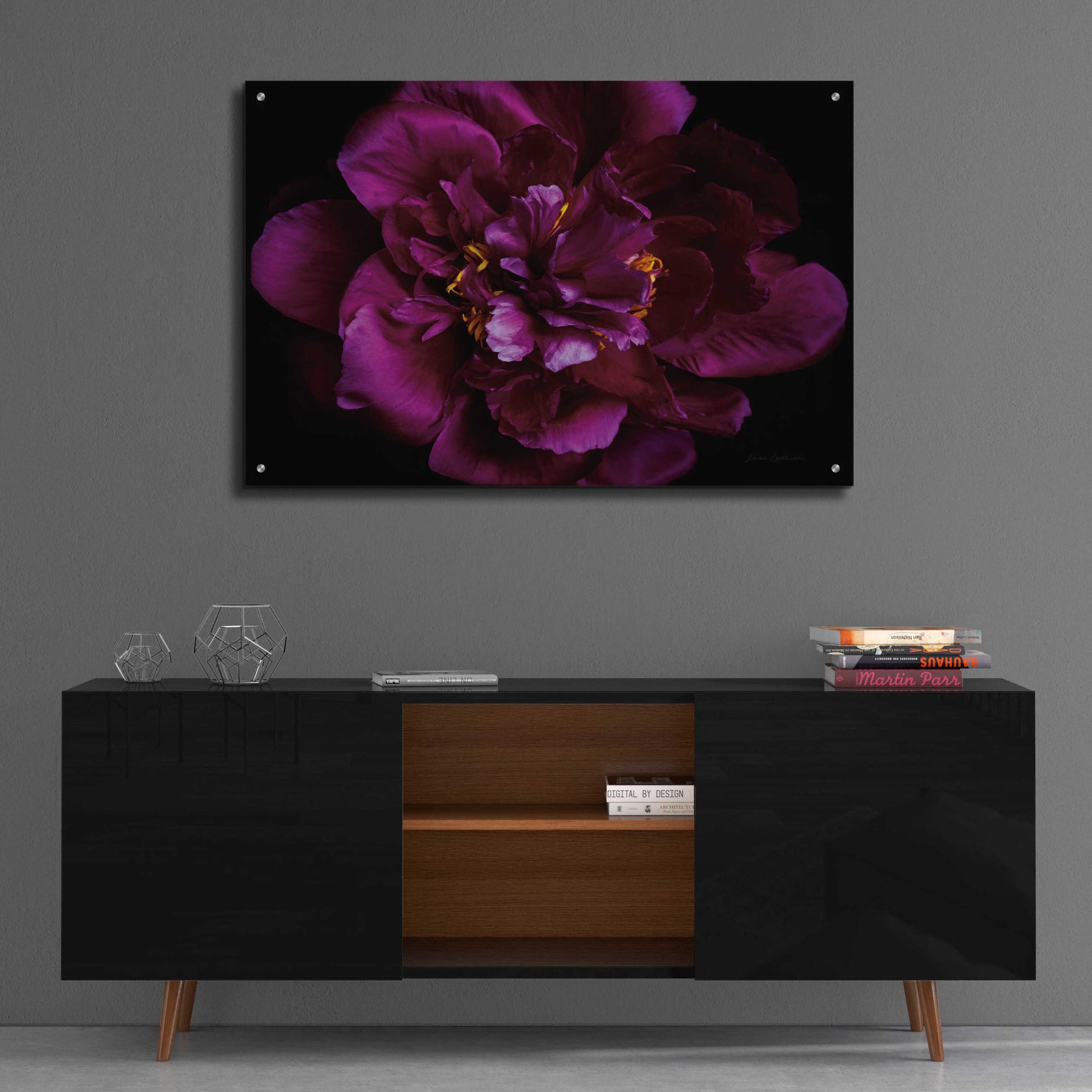 Epic Art 'Vivid Dark Peony' by Elise Catterall, Acrylic Glass Wall Art,36x24