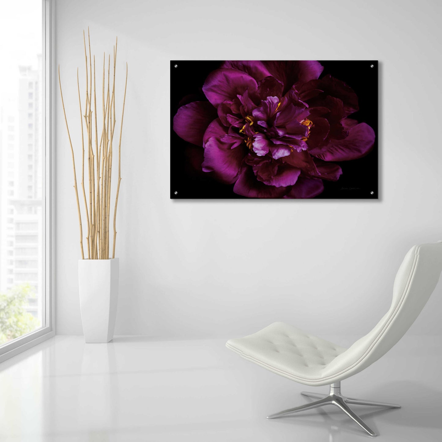 Epic Art 'Vivid Dark Peony' by Elise Catterall, Acrylic Glass Wall Art,36x24