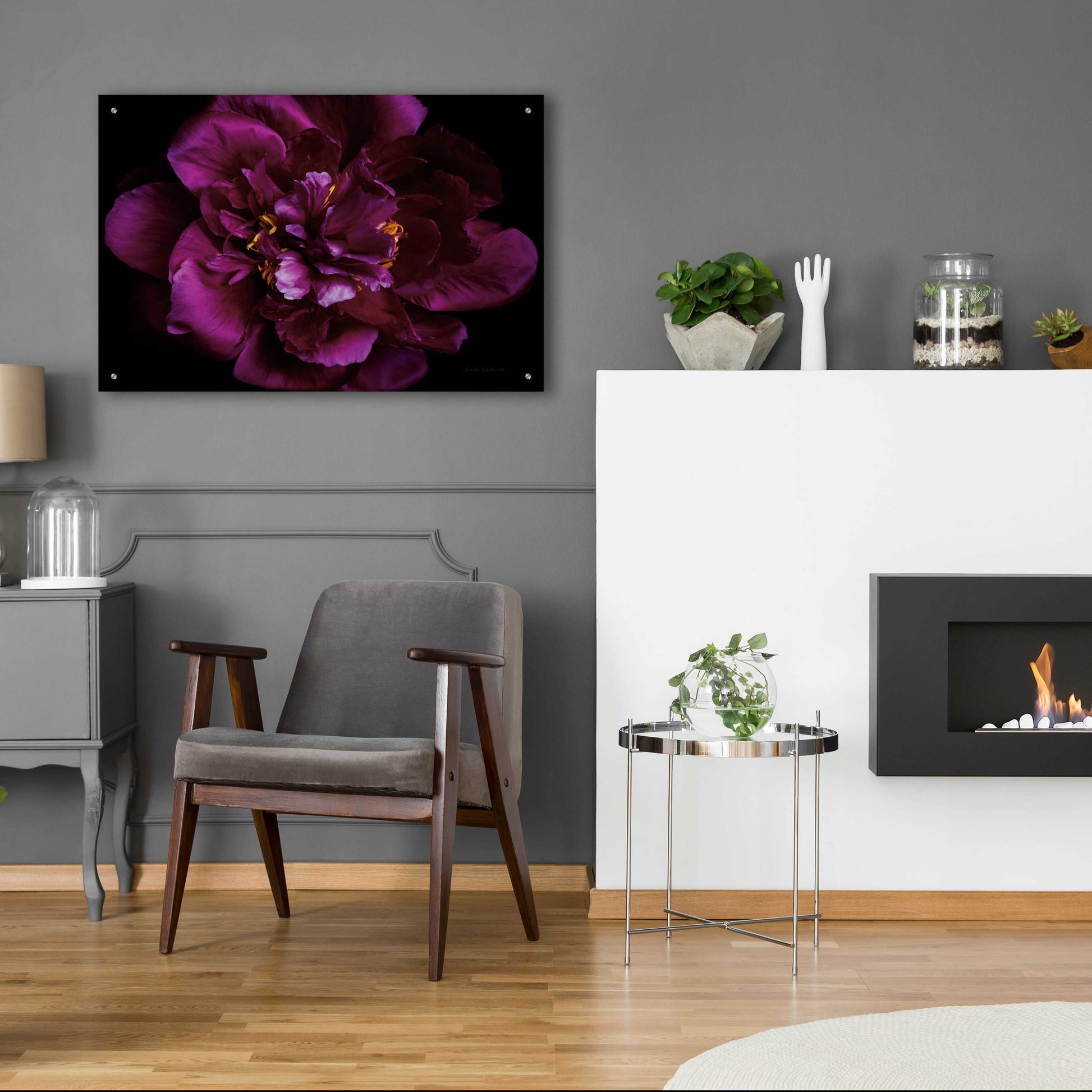 Epic Art 'Vivid Dark Peony' by Elise Catterall, Acrylic Glass Wall Art,36x24