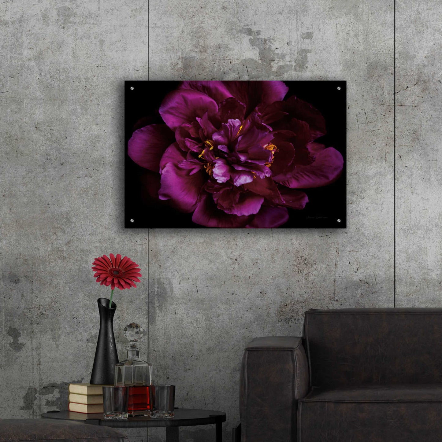 Epic Art 'Vivid Dark Peony' by Elise Catterall, Acrylic Glass Wall Art,36x24