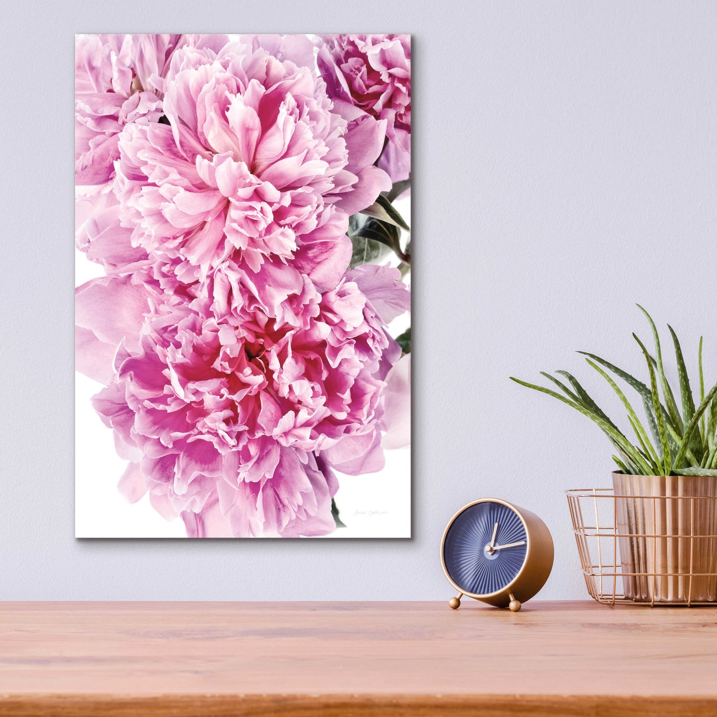 Epic Art 'Pink Peony Cluster' by Elise Catterall, Acrylic Glass Wall Art,12x16