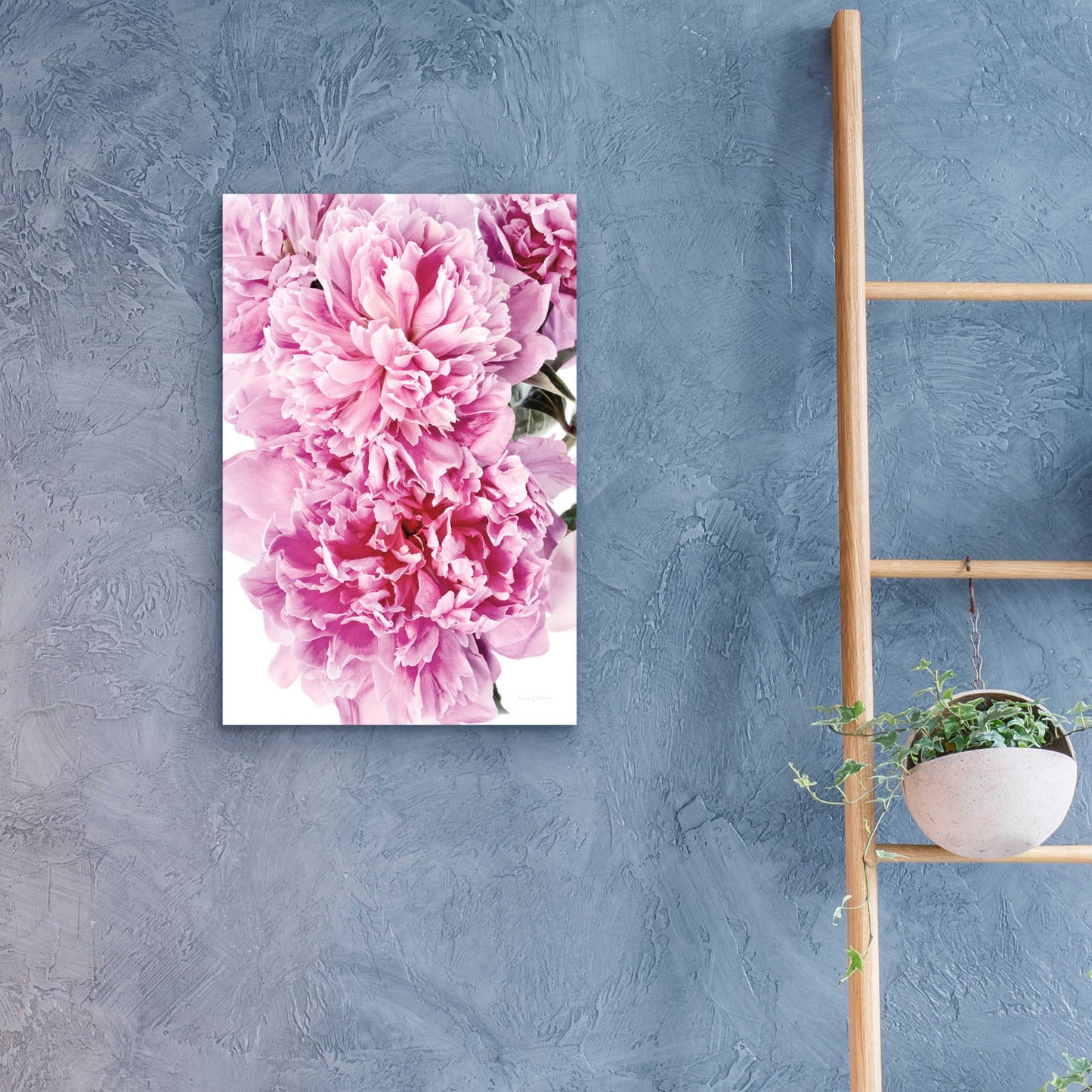 Epic Art 'Pink Peony Cluster' by Elise Catterall, Acrylic Glass Wall Art,16x24