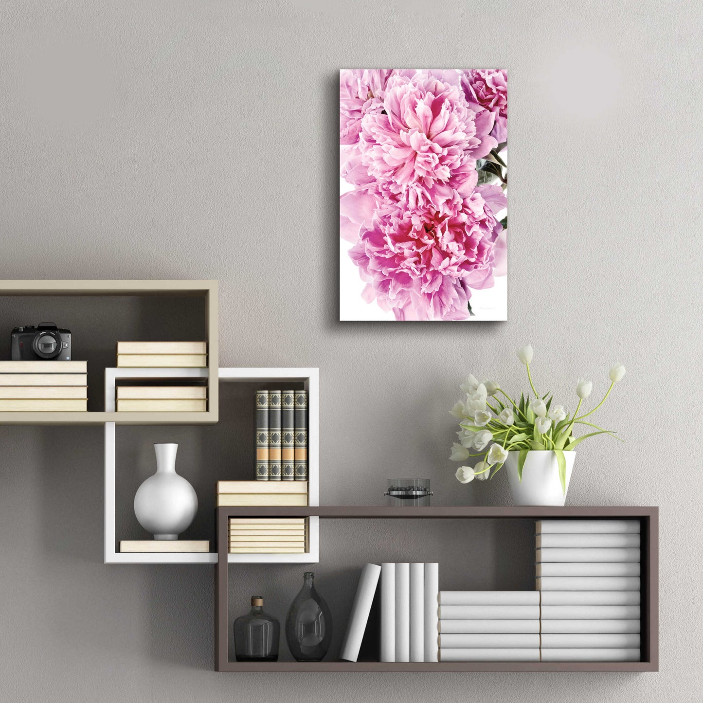 Epic Art 'Pink Peony Cluster' by Elise Catterall, Acrylic Glass Wall Art,16x24