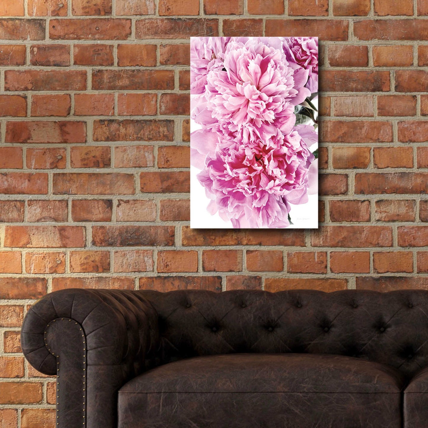 Epic Art 'Pink Peony Cluster' by Elise Catterall, Acrylic Glass Wall Art,16x24