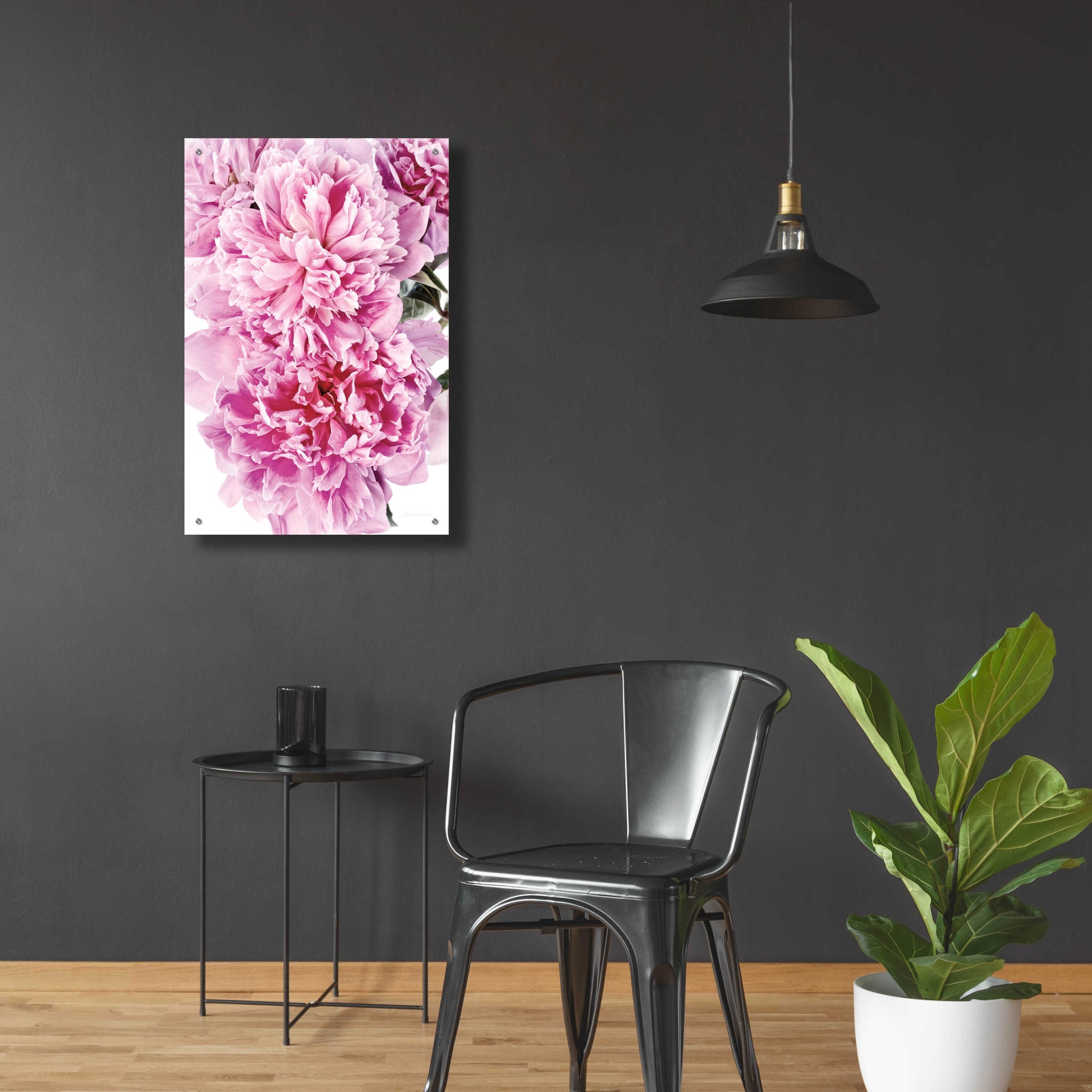 Epic Art 'Pink Peony Cluster' by Elise Catterall, Acrylic Glass Wall Art,24x36