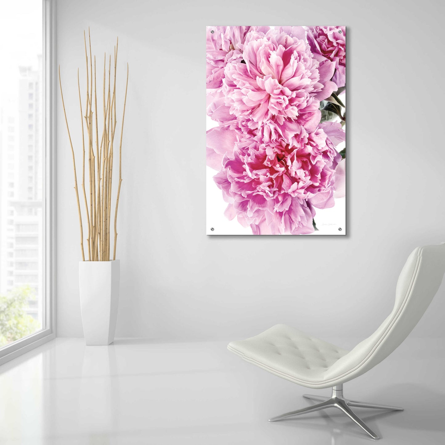 Epic Art 'Pink Peony Cluster' by Elise Catterall, Acrylic Glass Wall Art,24x36