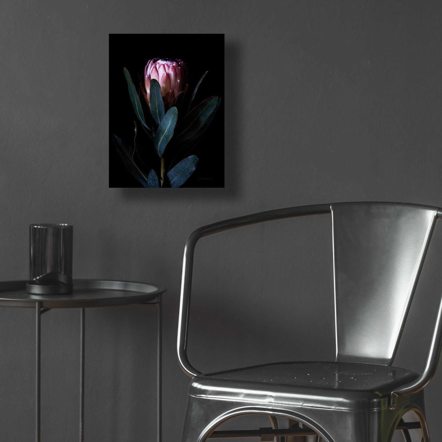 Epic Art 'Protea Portrait' by Elise Catterall, Acrylic Glass Wall Art,12x16