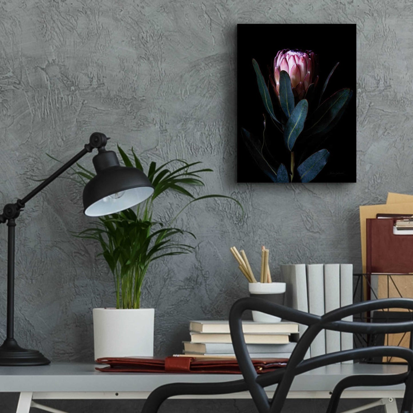 Epic Art 'Protea Portrait' by Elise Catterall, Acrylic Glass Wall Art,12x16